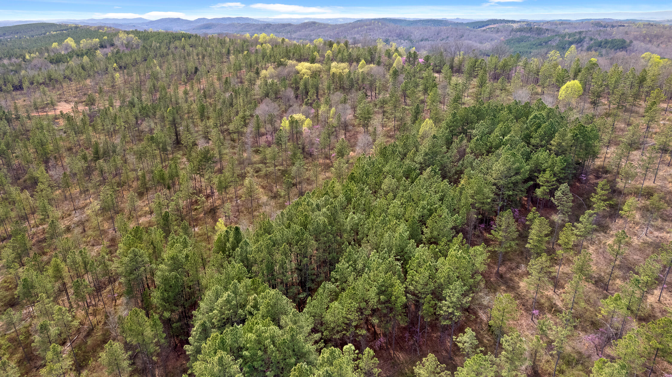 00 Co Rd 42