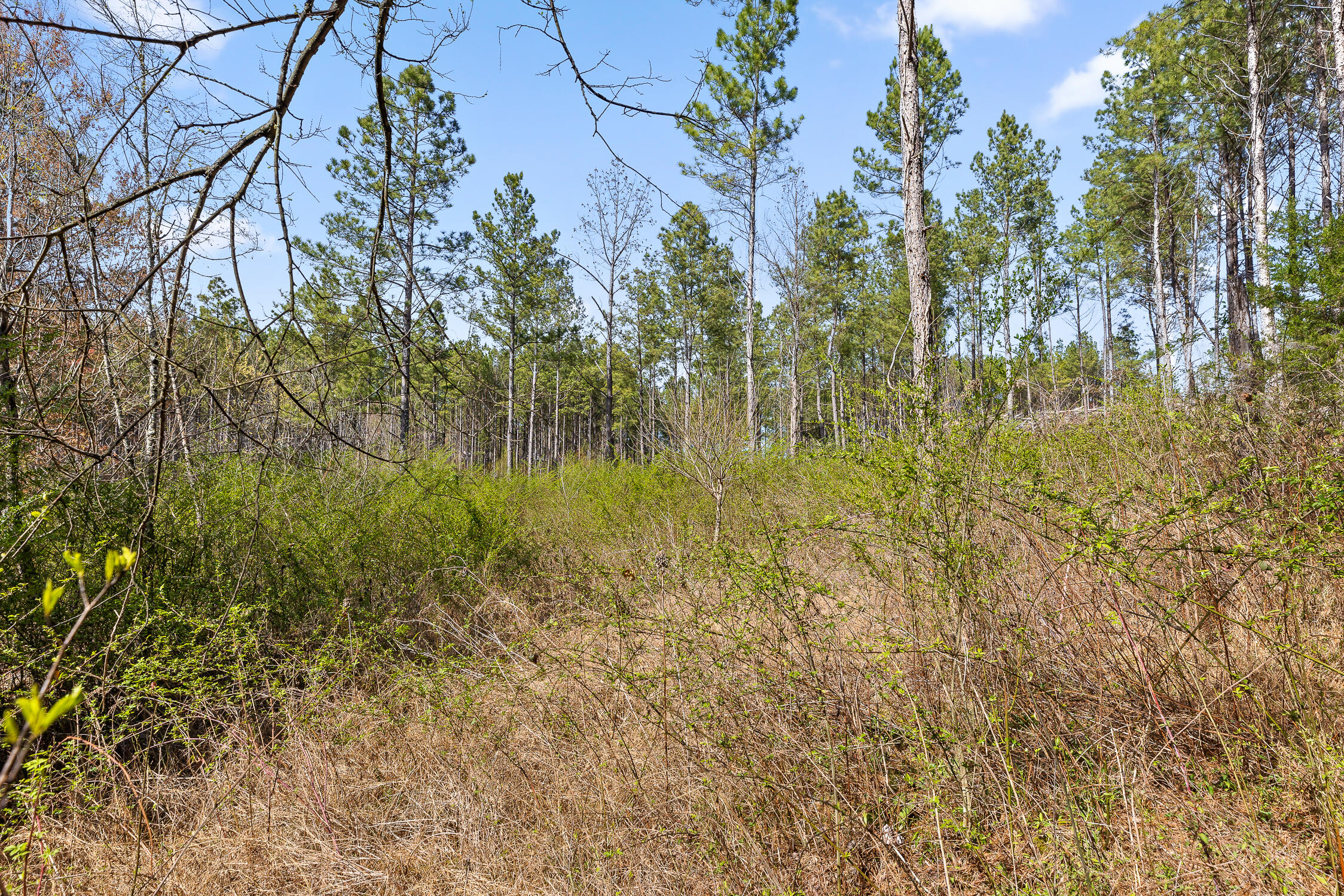 00 Co Rd 42