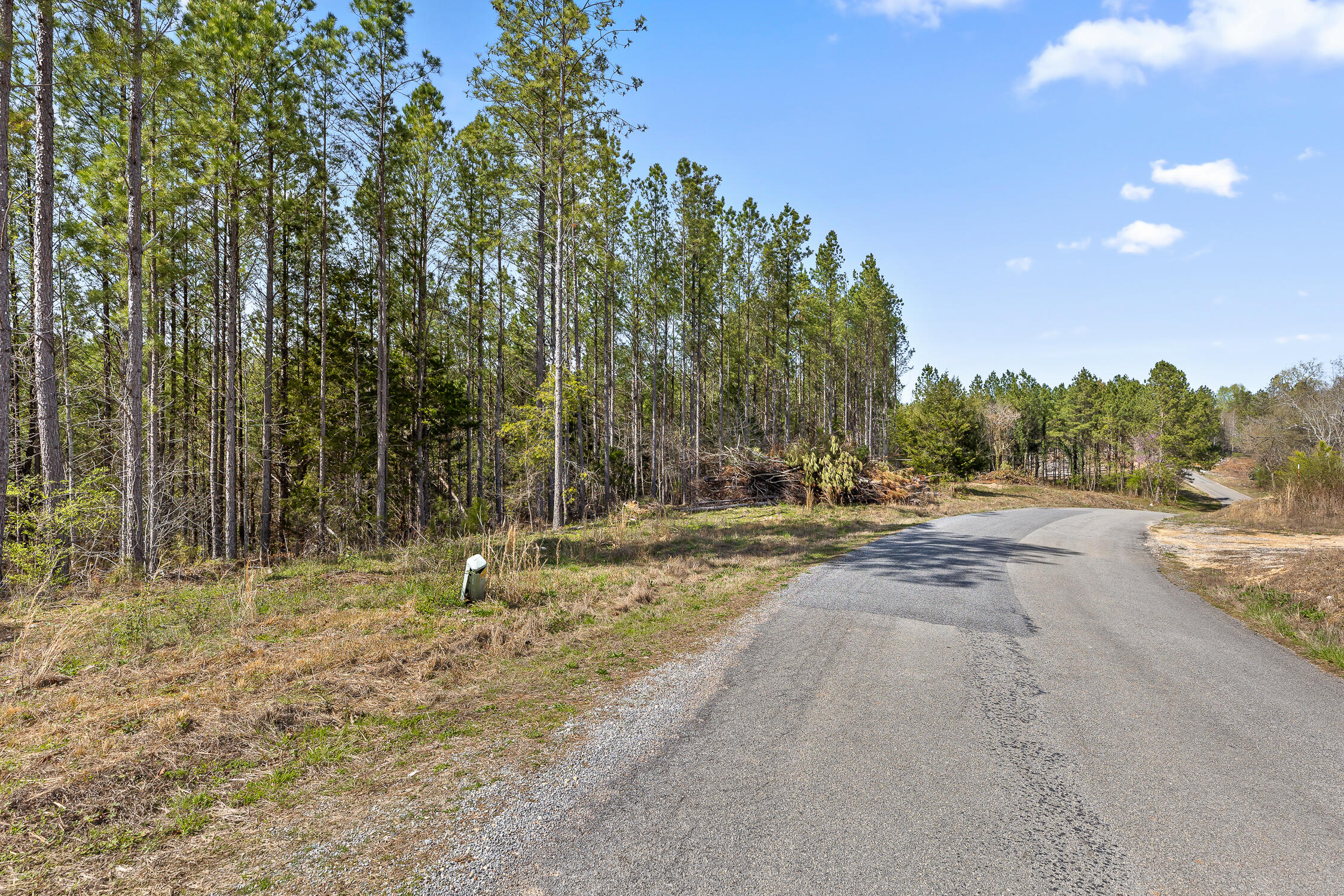 00 Co Rd 42