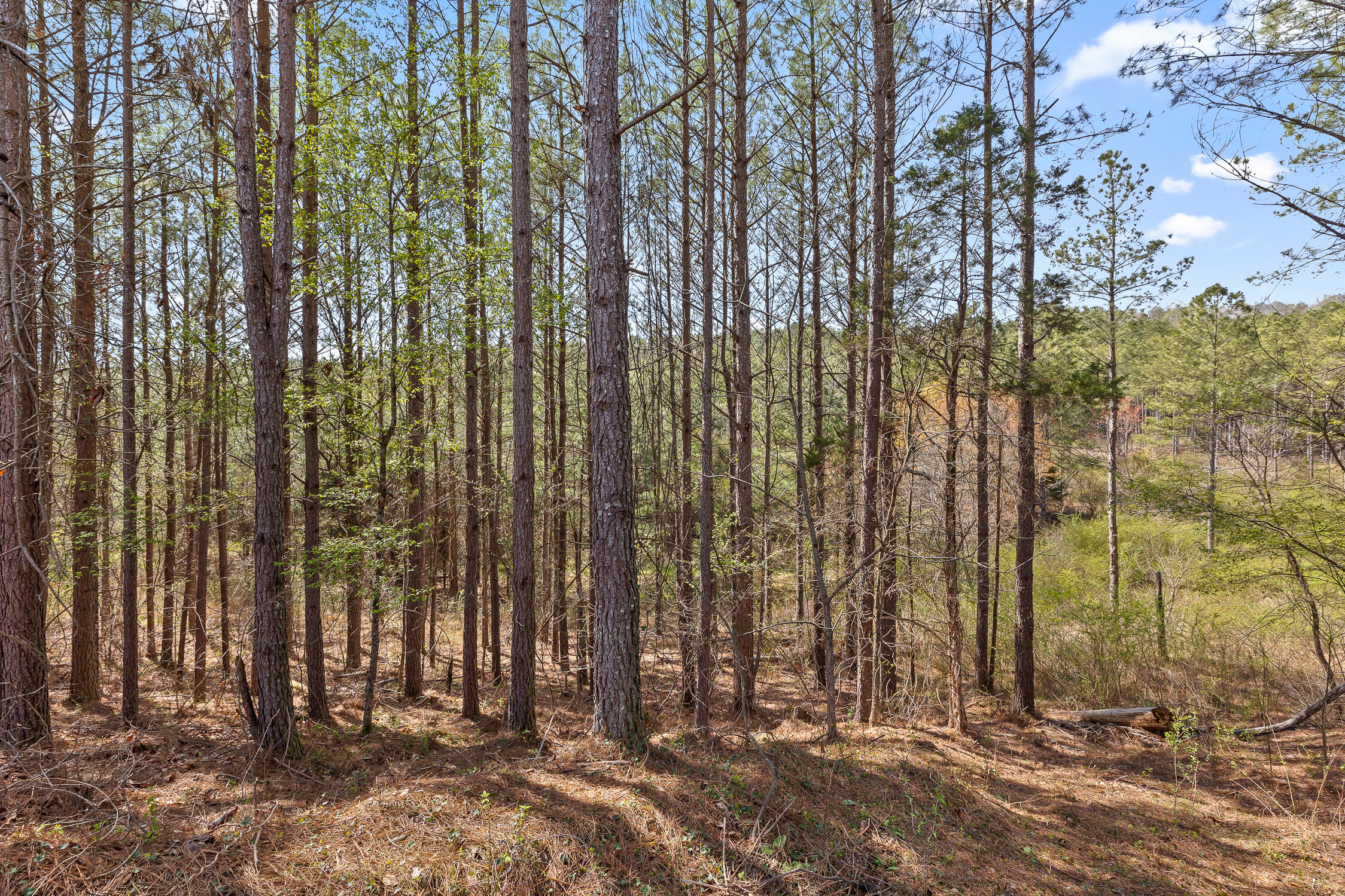 00 Co Rd 42
