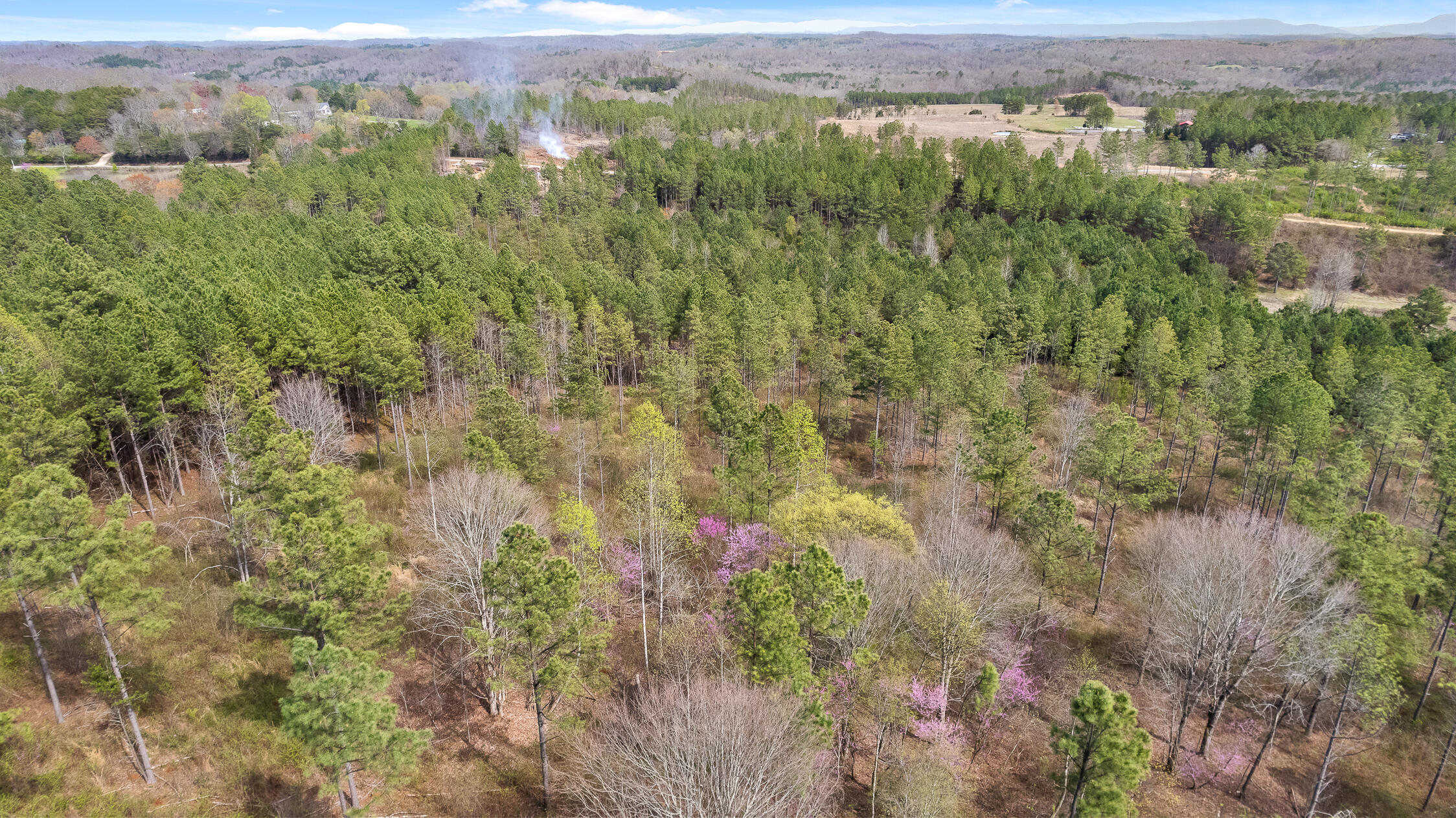 00 Co Rd 42