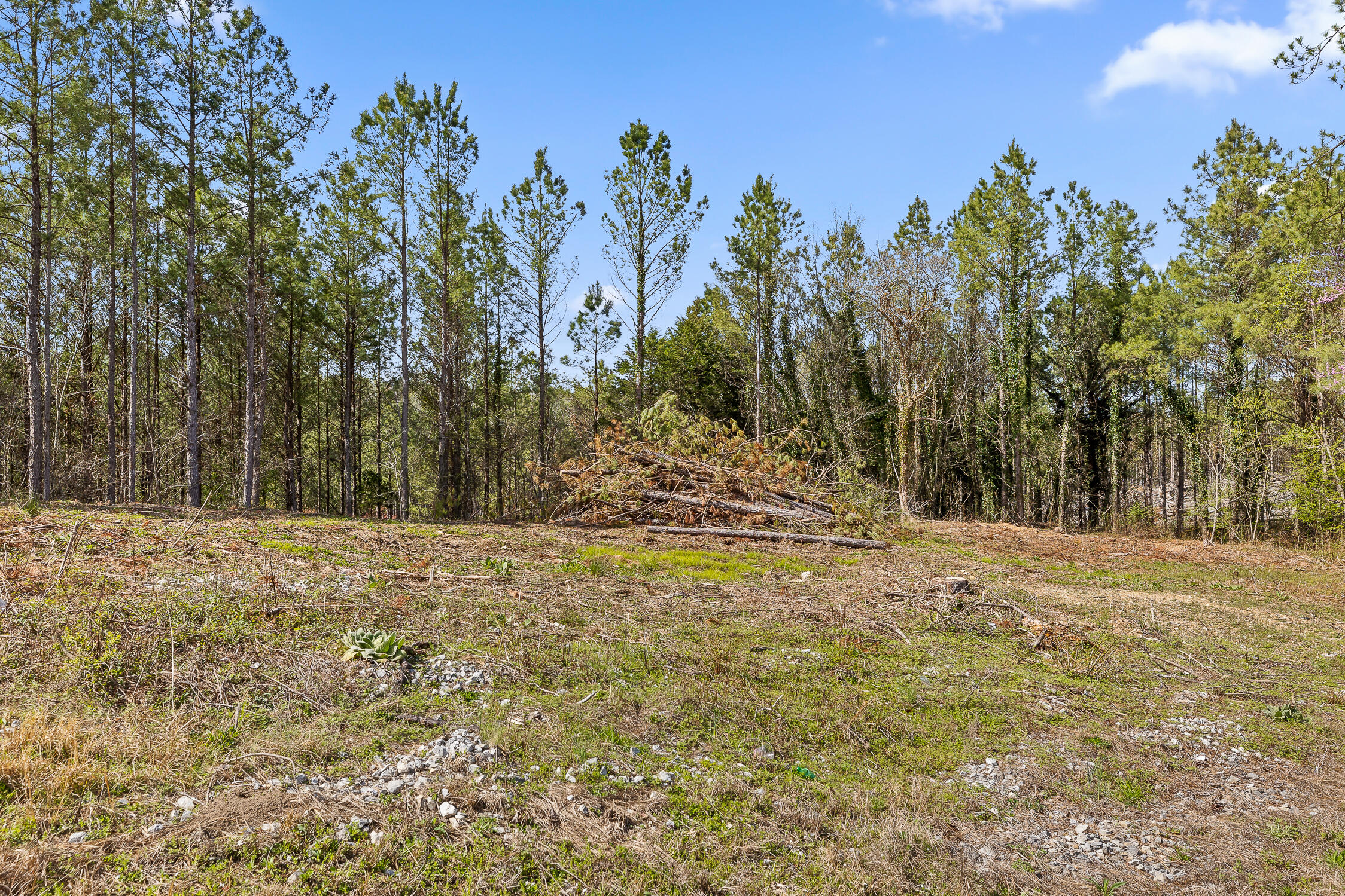 00 Co Rd 42