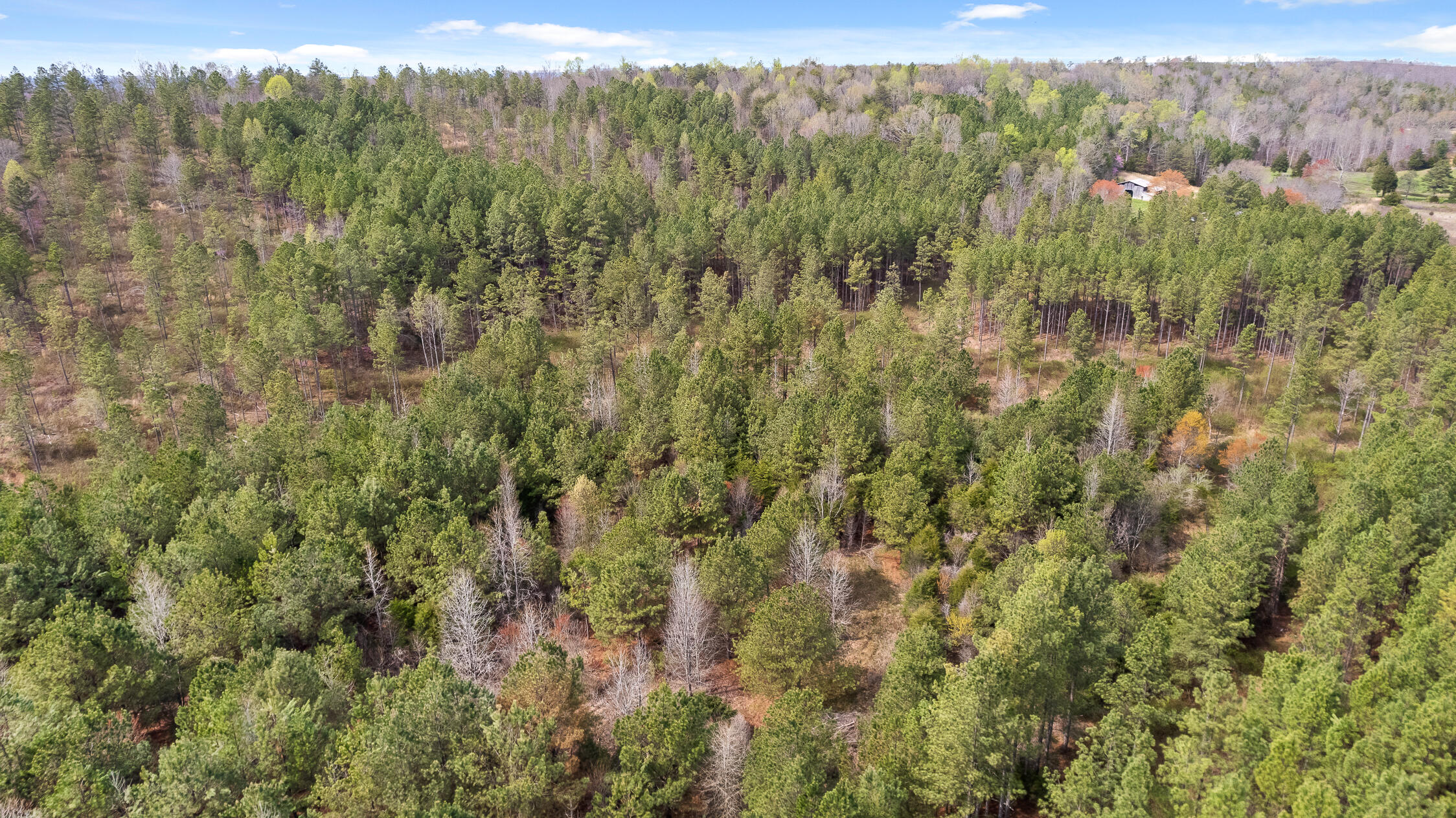 00 Co Rd 42