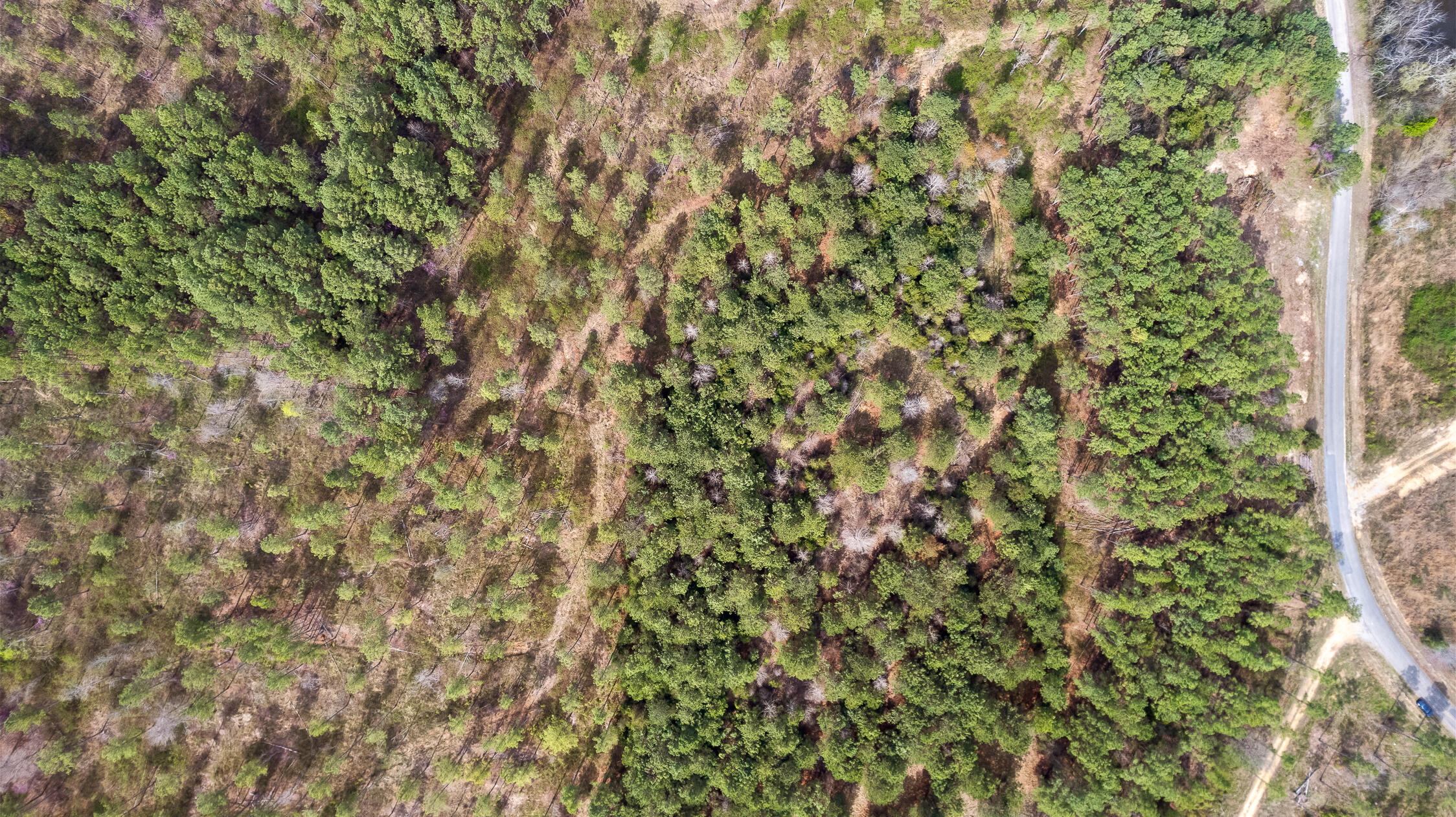 00 Co Rd 42