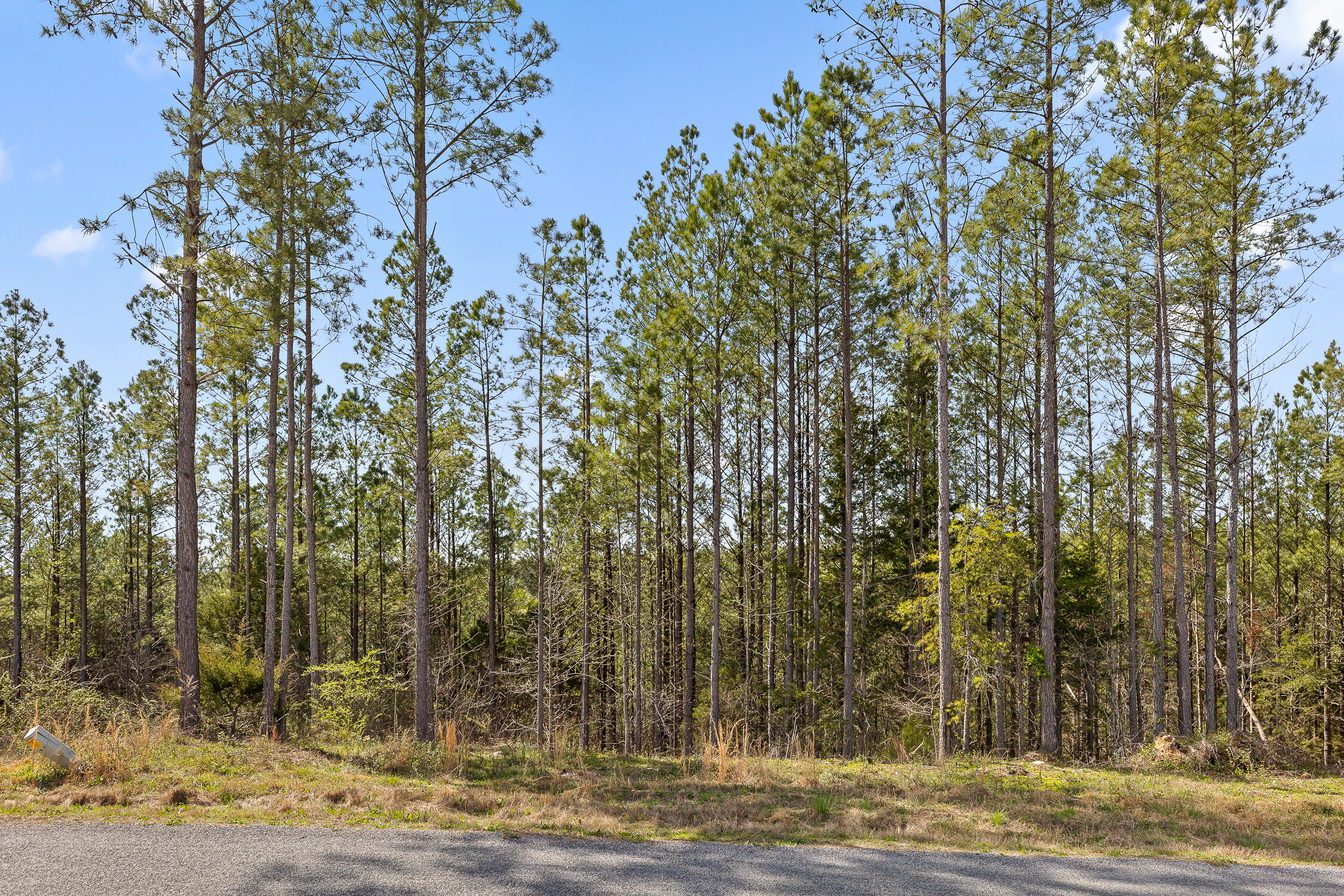 00 Co Rd 42