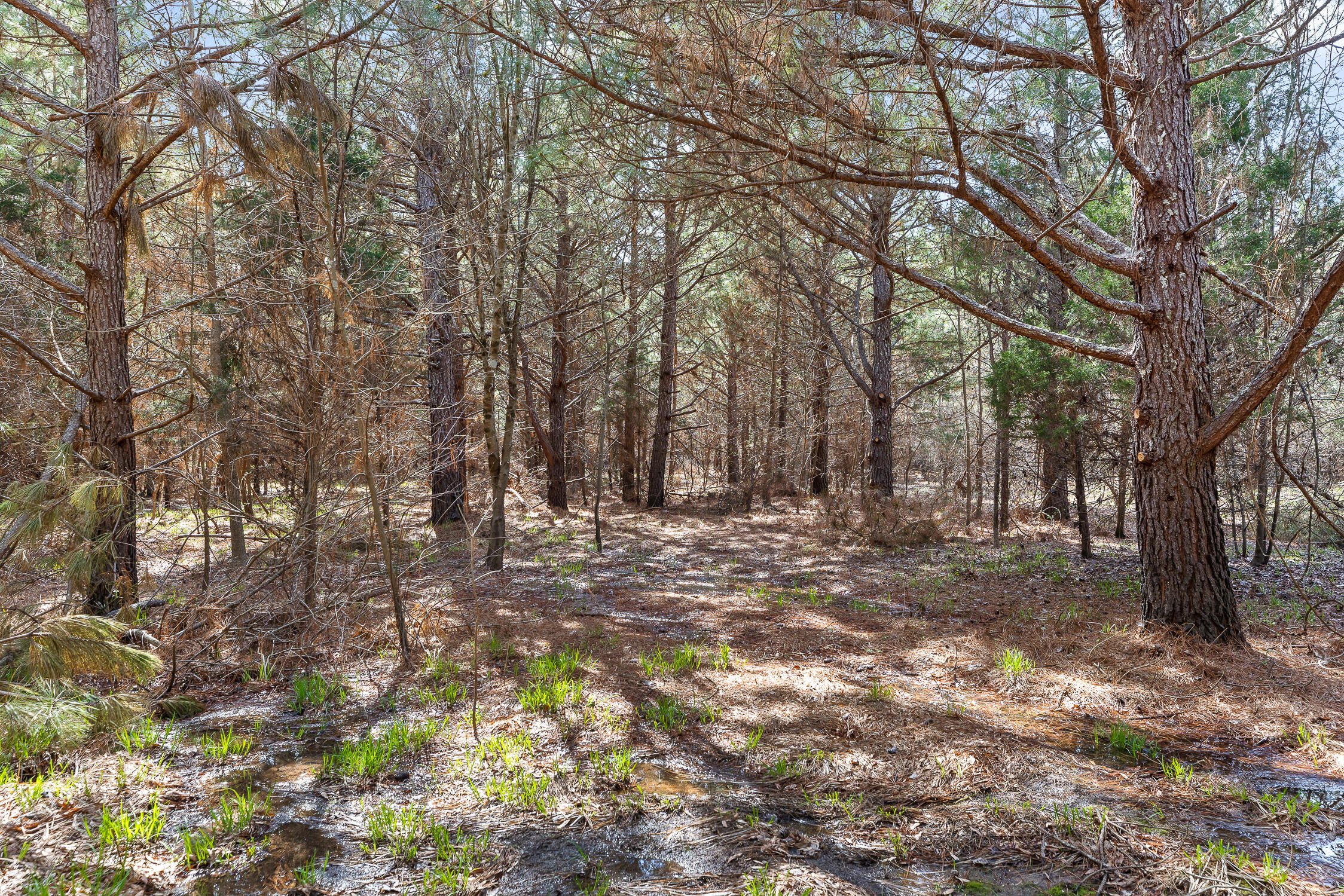 00 Co Rd 42