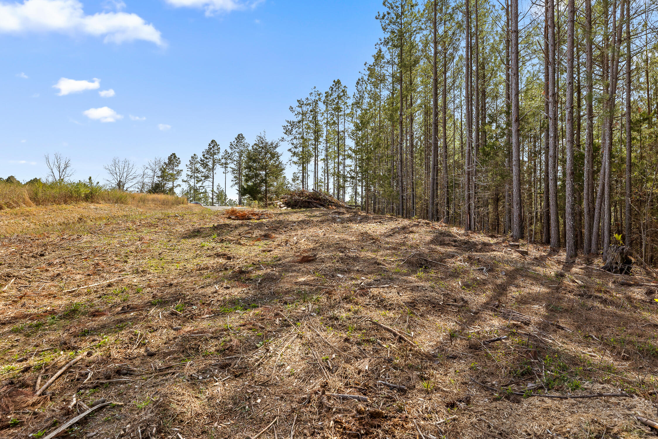 00 Co Rd 42