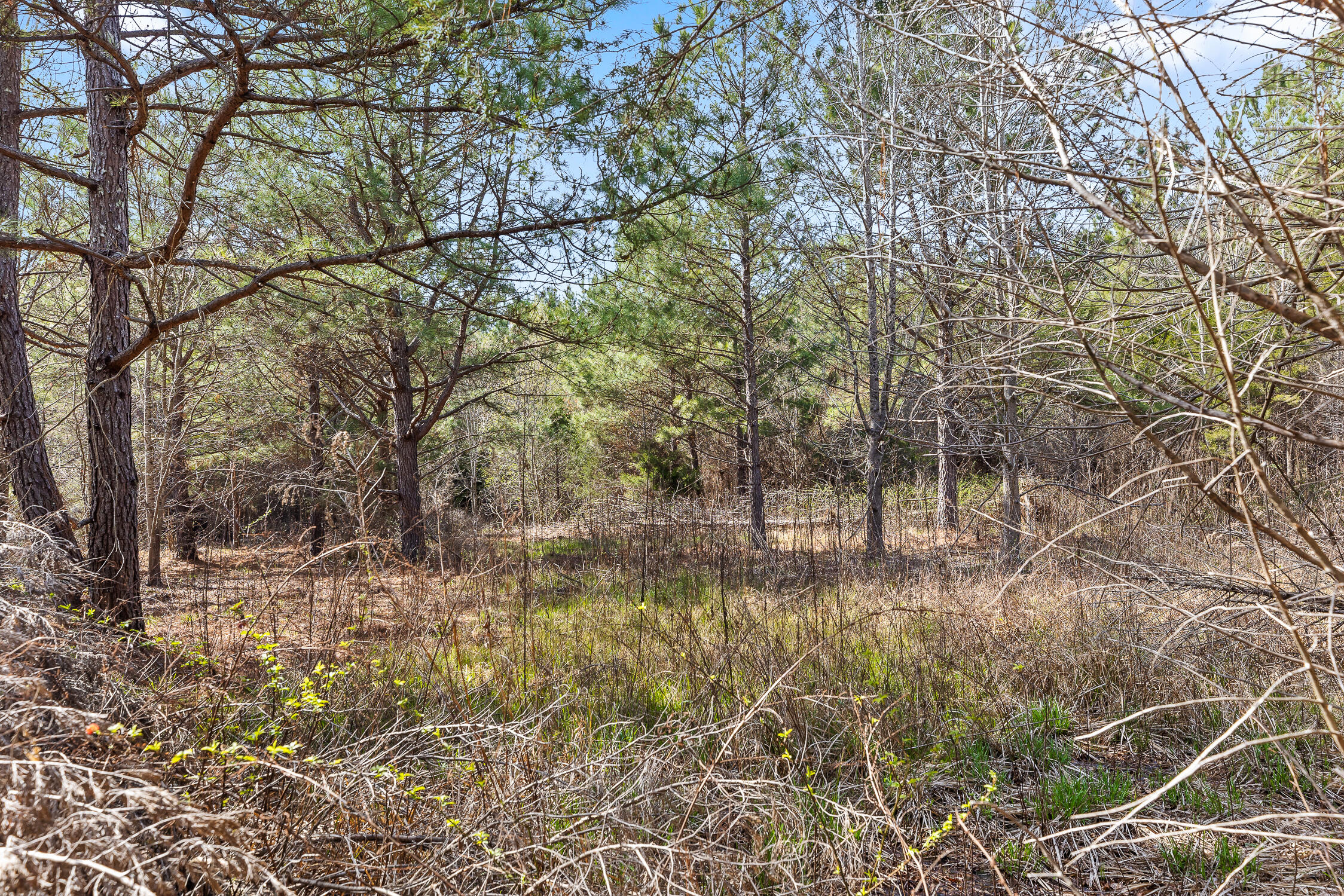 00 Co Rd 42
