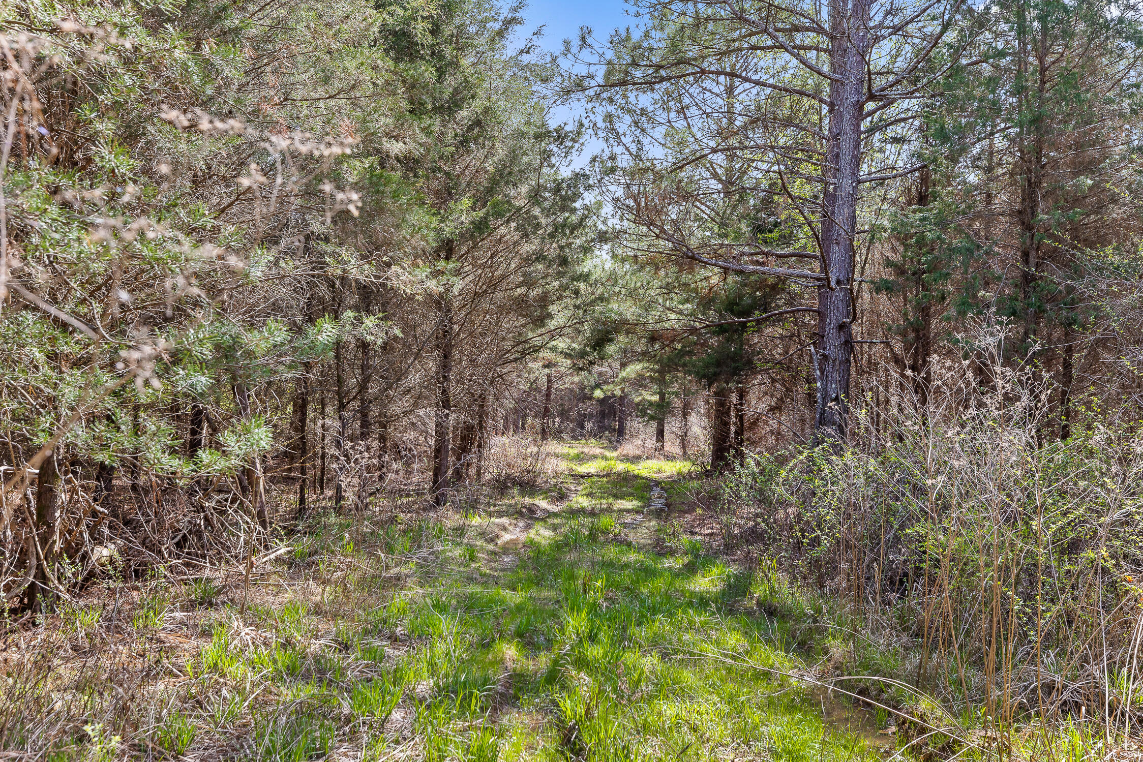 00 Co Rd 42