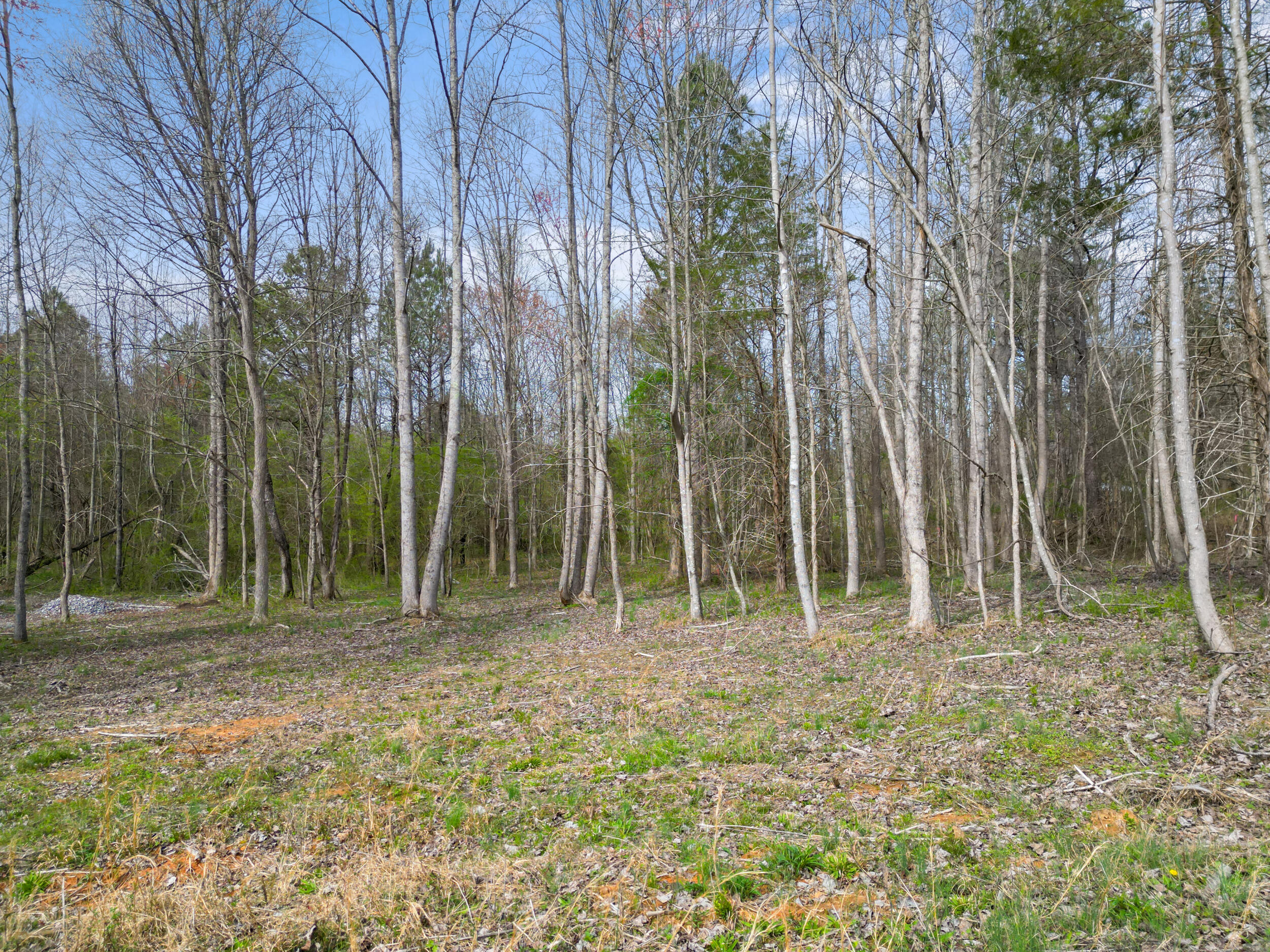 3354 Cherokee Valley Road