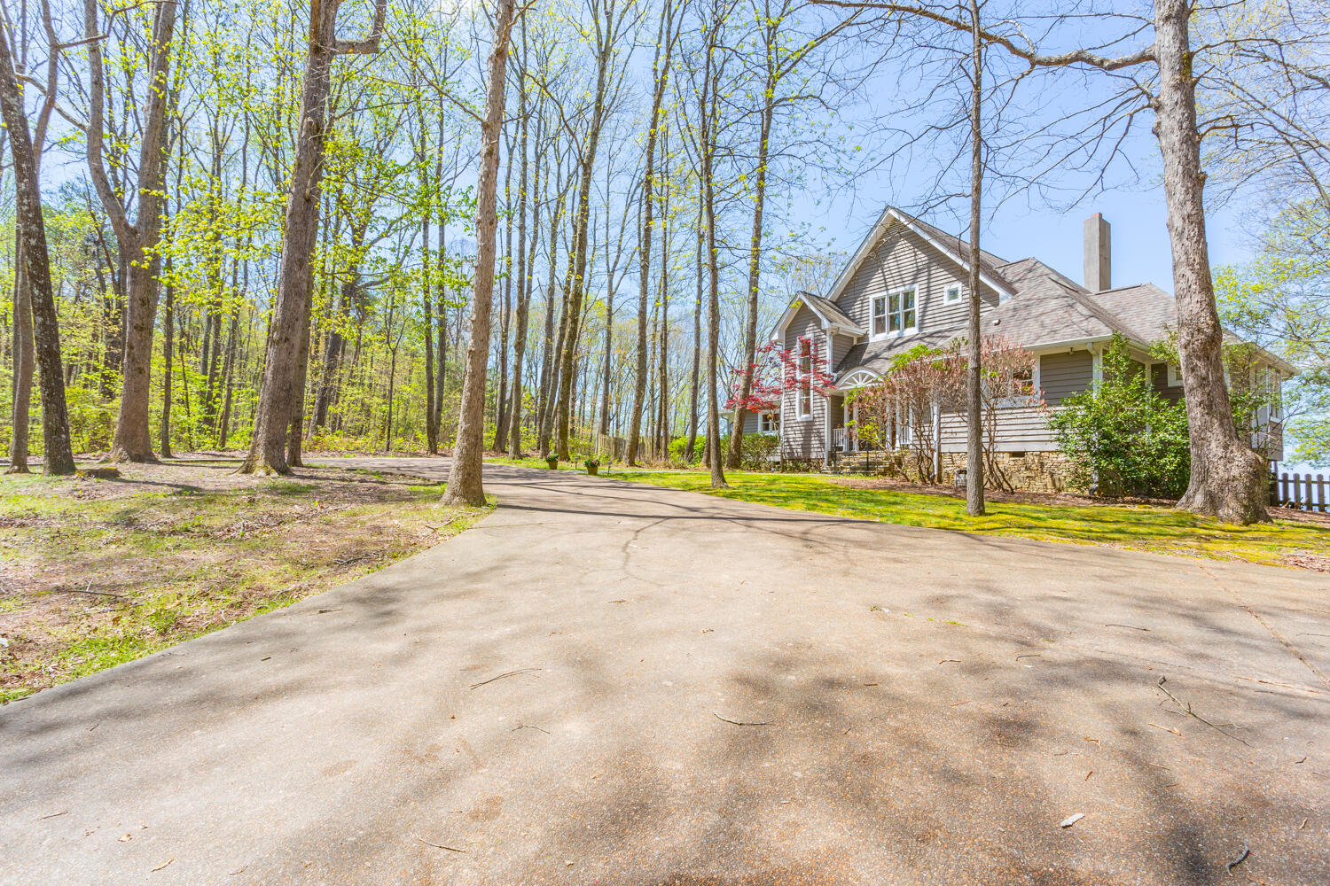 237 Brow Lake Road