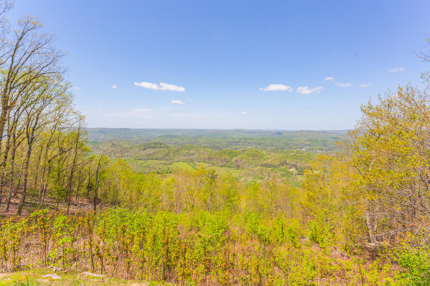 237 Brow Lake Road