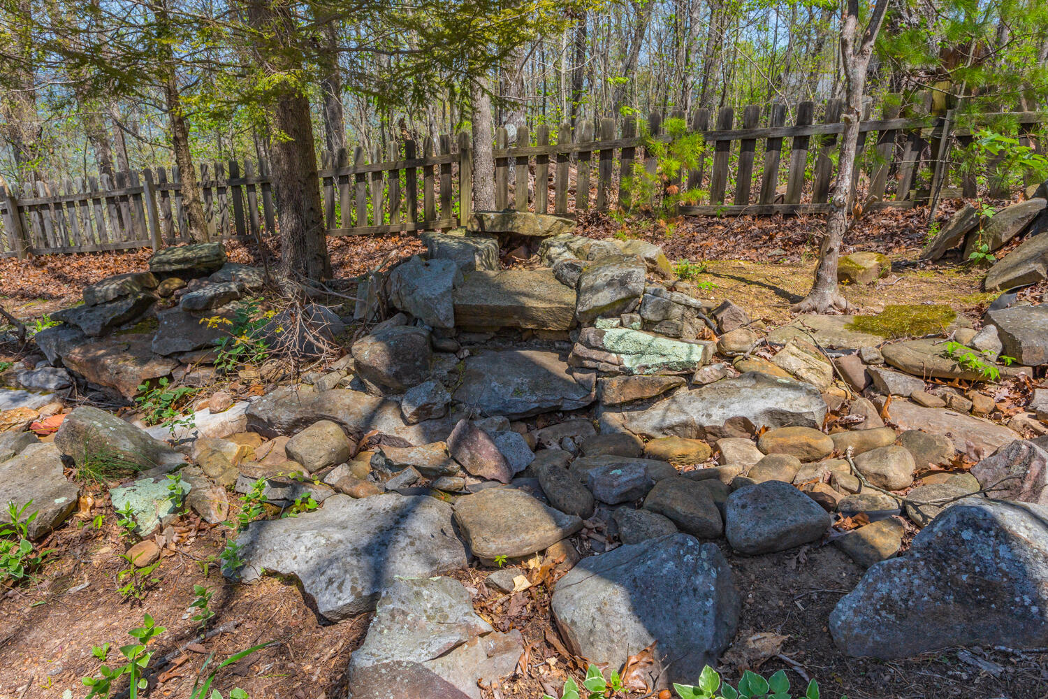 237 Brow Lake Road