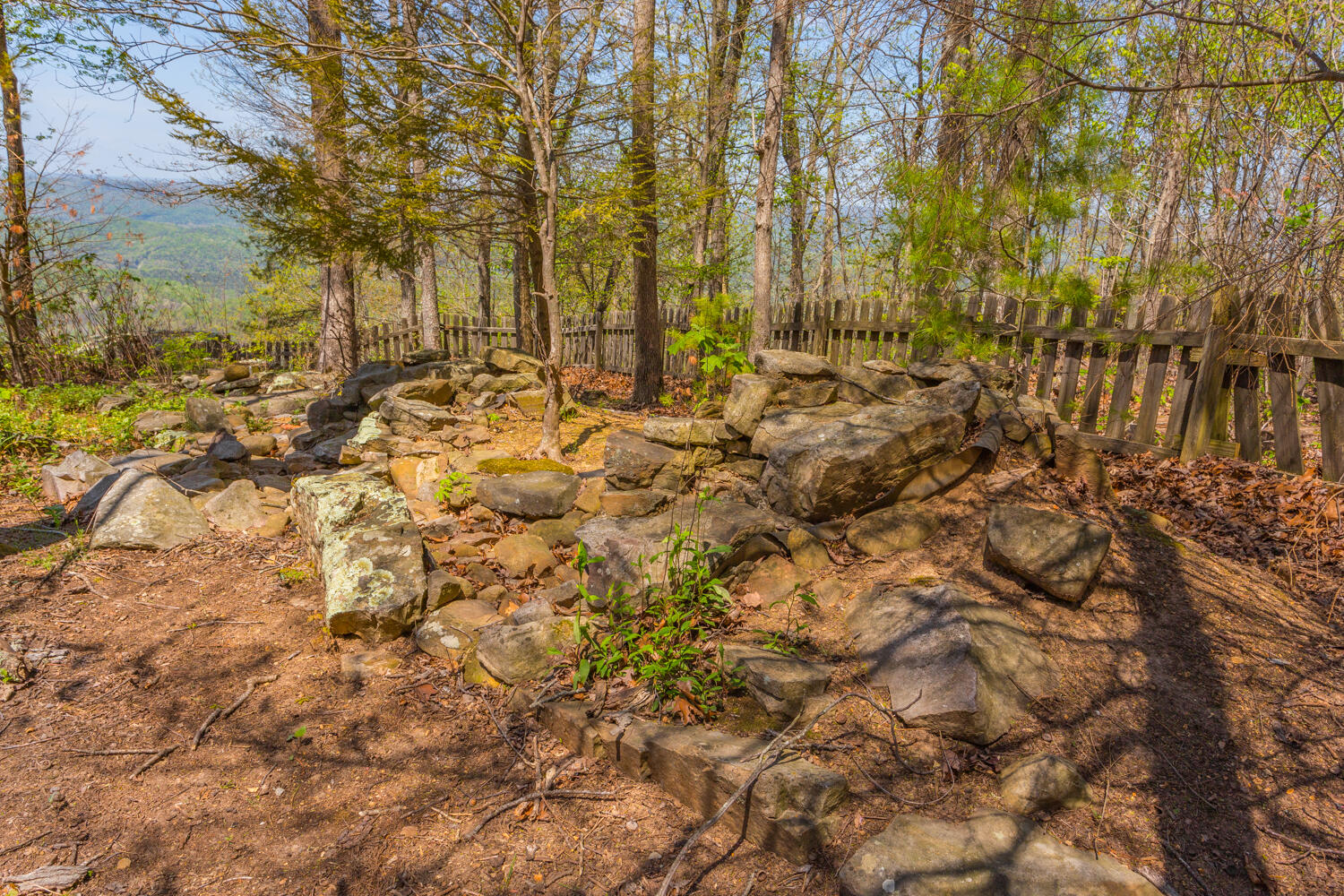 237 Brow Lake Road