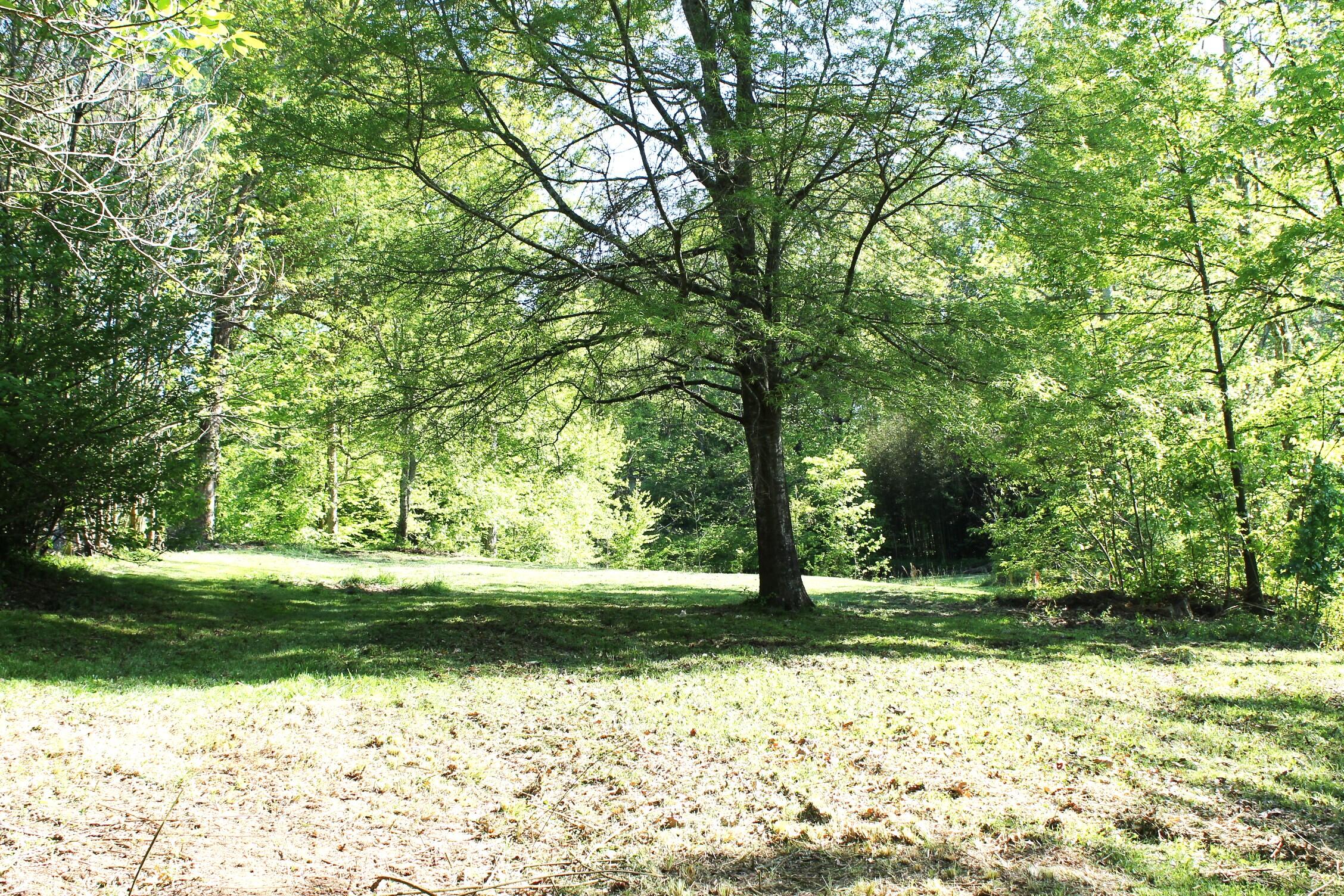 743 Beaumont Road