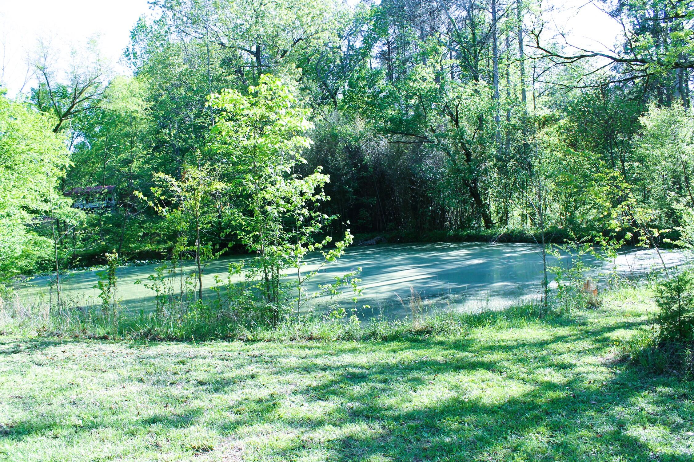 743 Beaumont Road