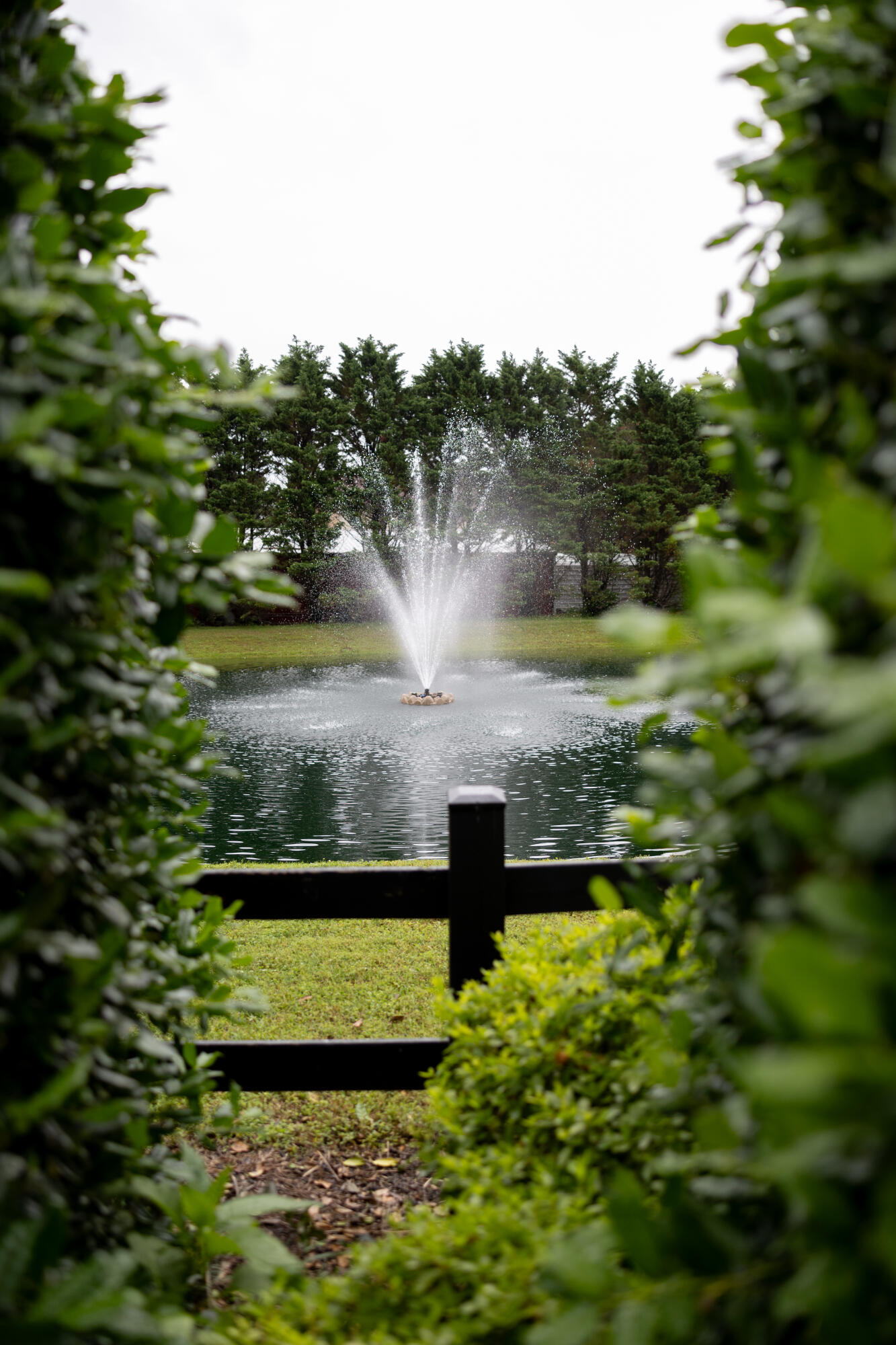 8217 Robertsview Drive