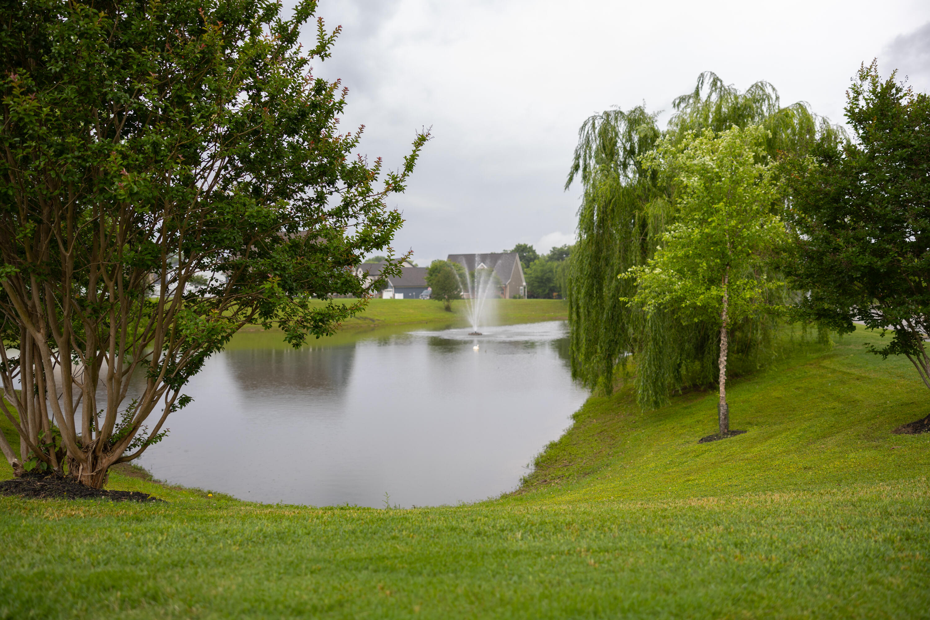 8217 Robertsview Drive