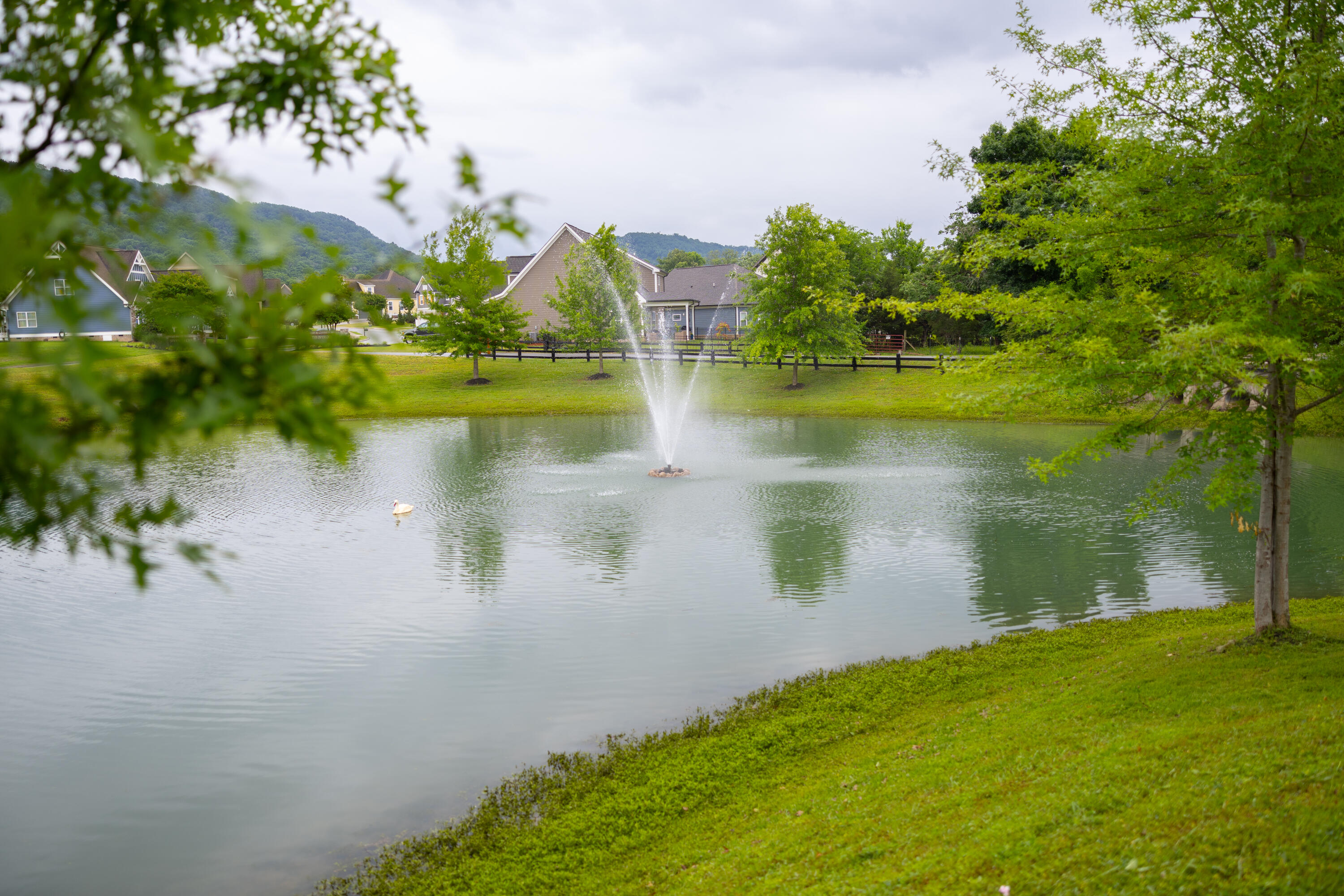 8217 Robertsview Drive