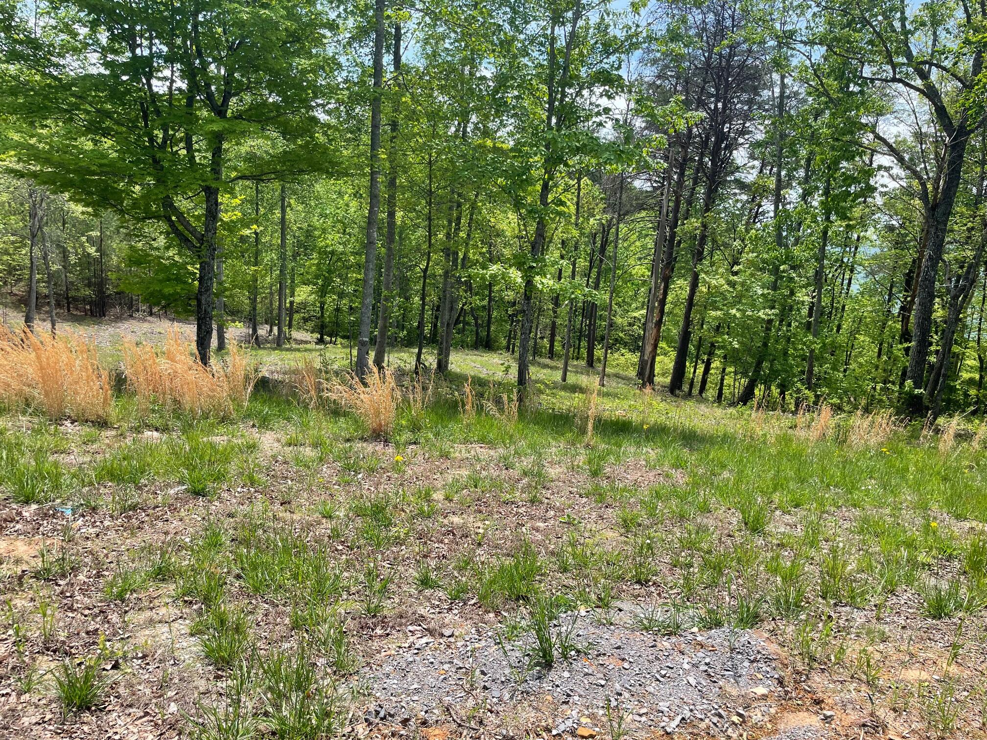 1395 Cherokee Path