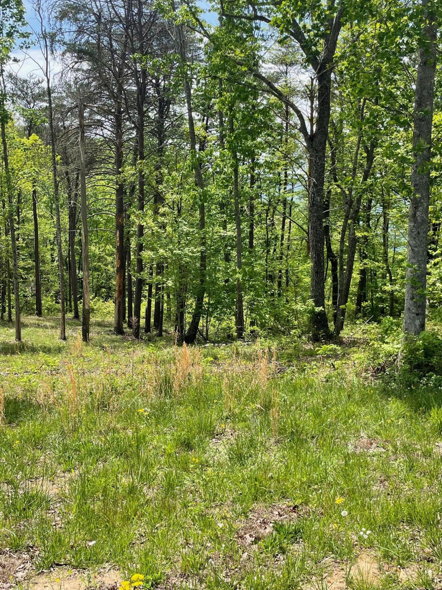 1395 Cherokee Path