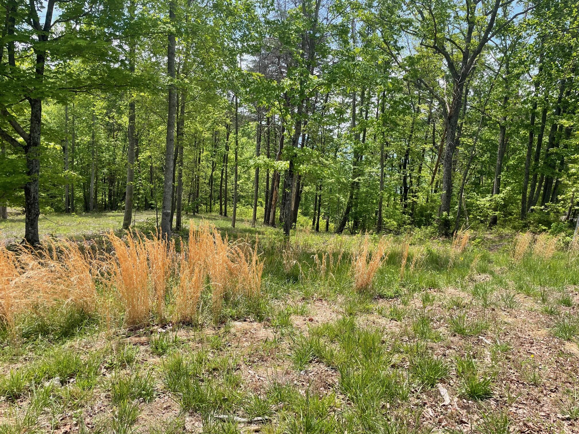 1395 Cherokee Path