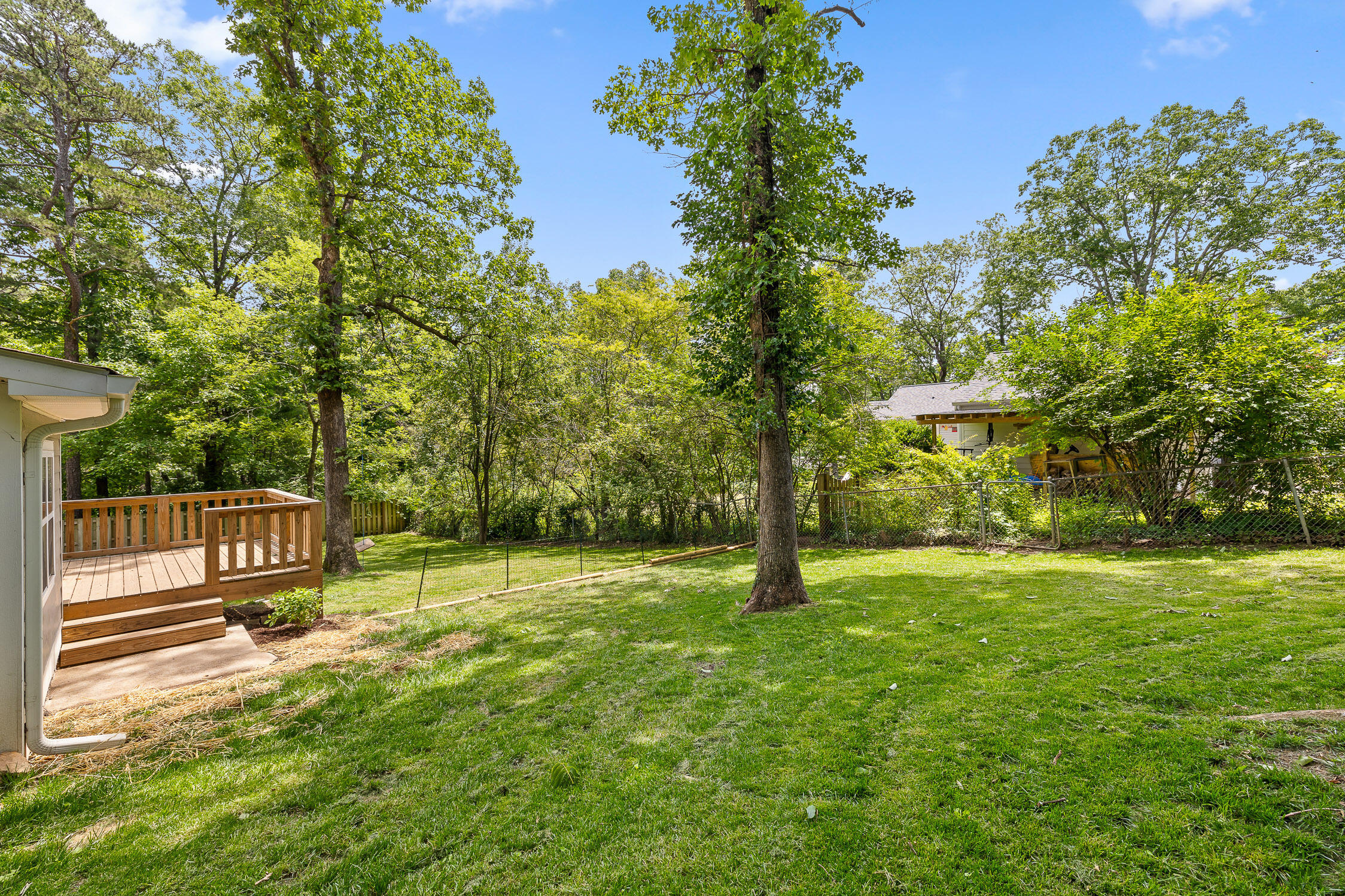 204 Red Riding Hood Trail