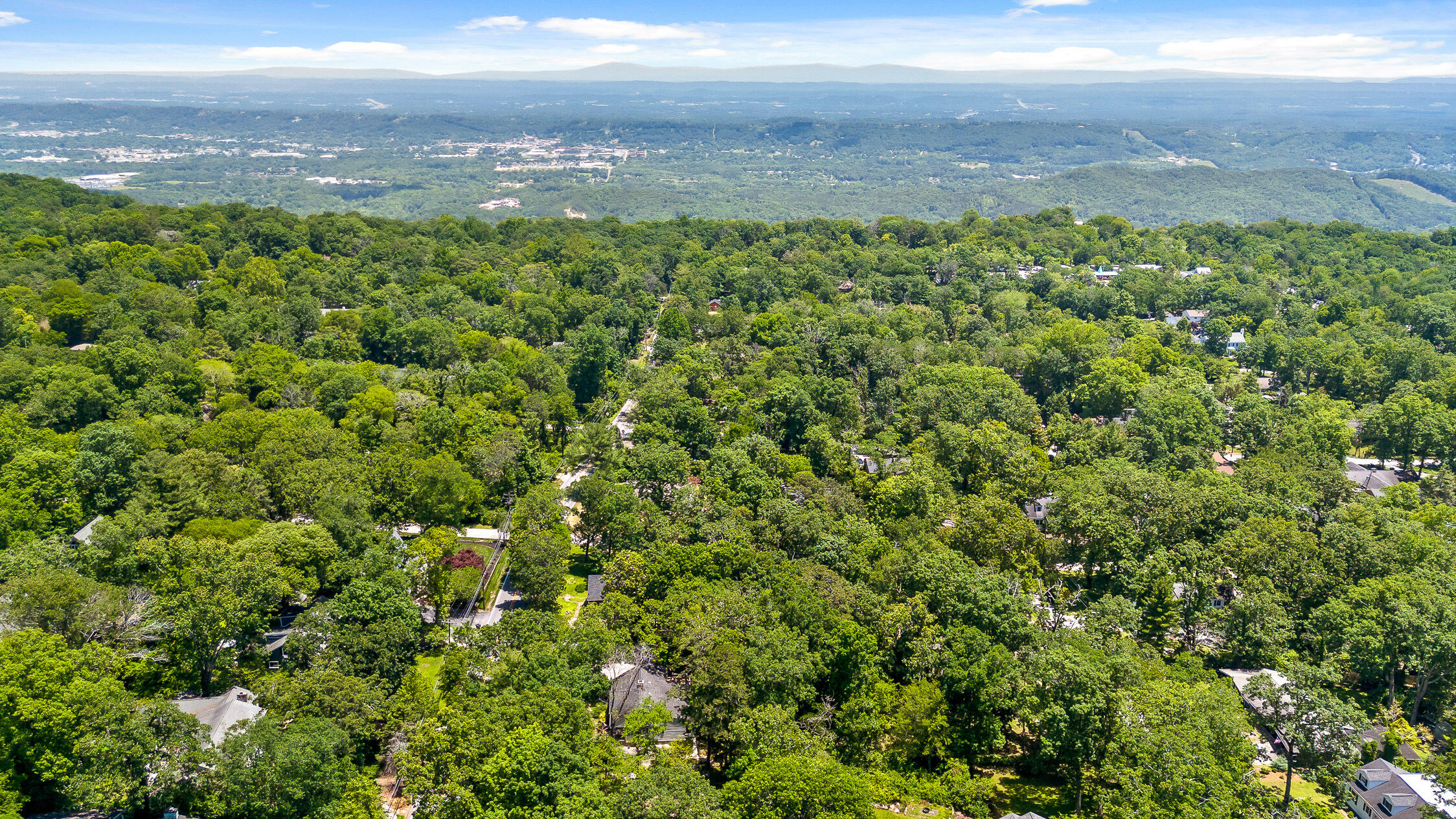 204 Red Riding Hood Trail