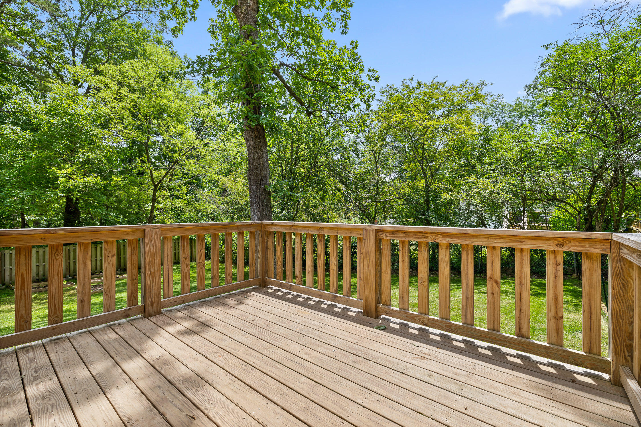 204 Red Riding Hood Trail