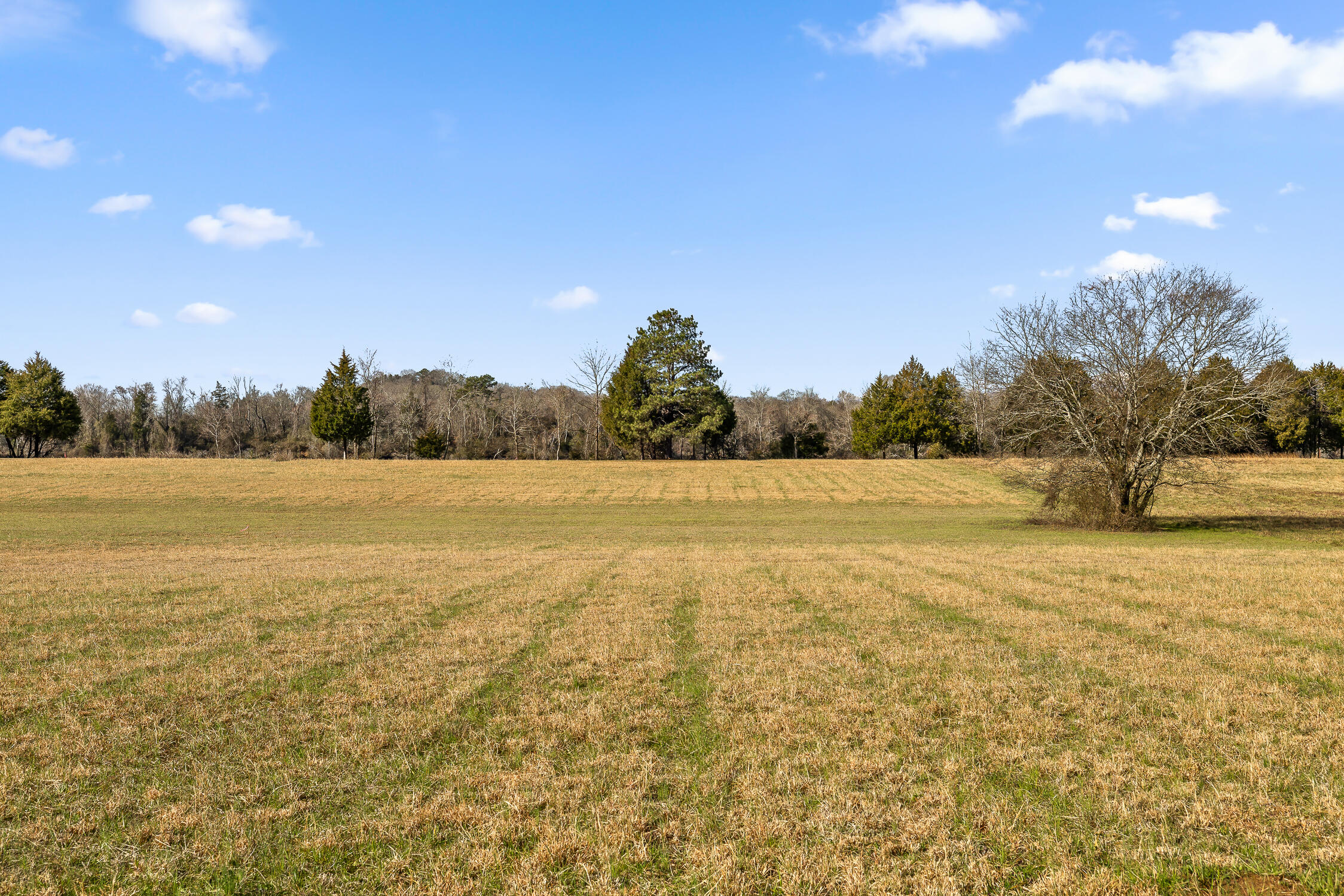 Lot 62 Espalier Drive