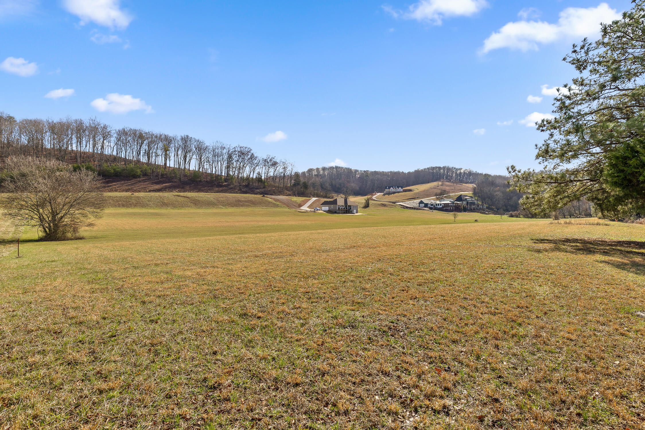 Lot 62 Espalier Drive