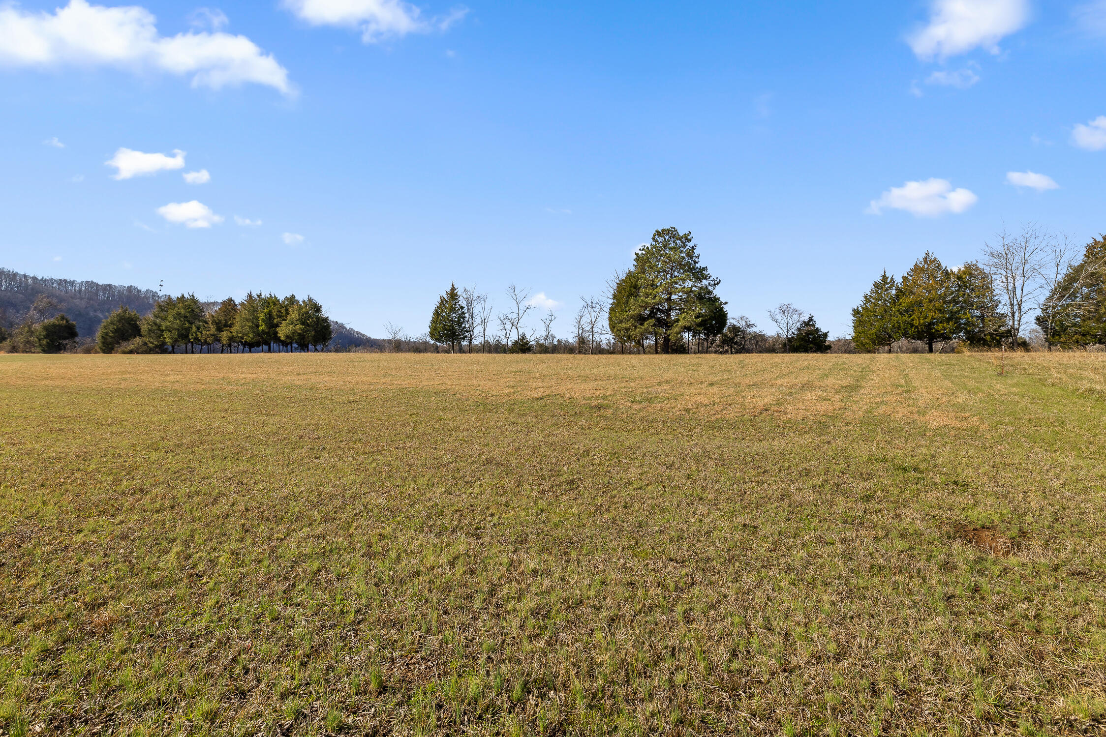Lot 62 Espalier Drive
