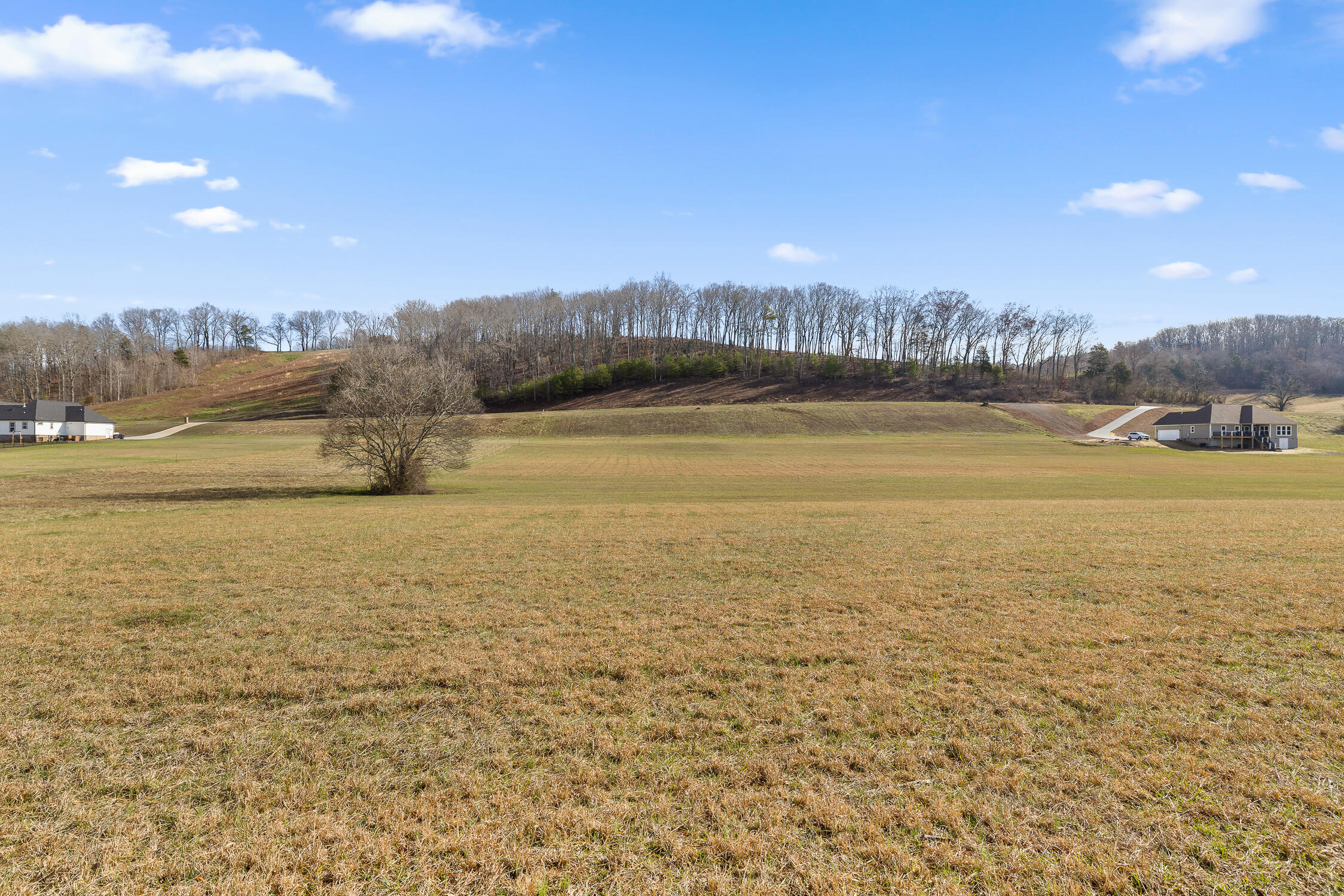 Lot 62 Espalier Drive