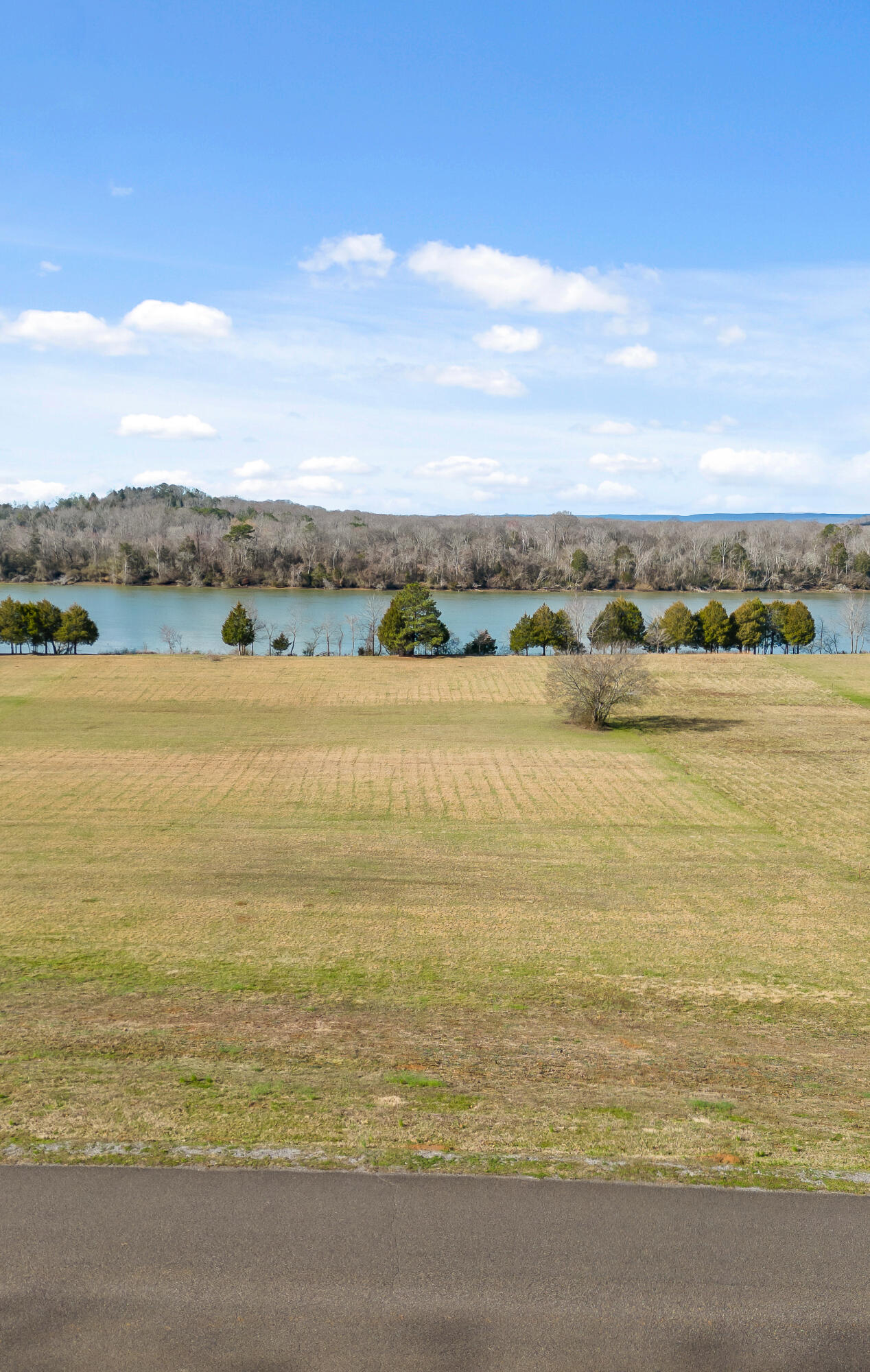 Lot 62 Espalier Drive