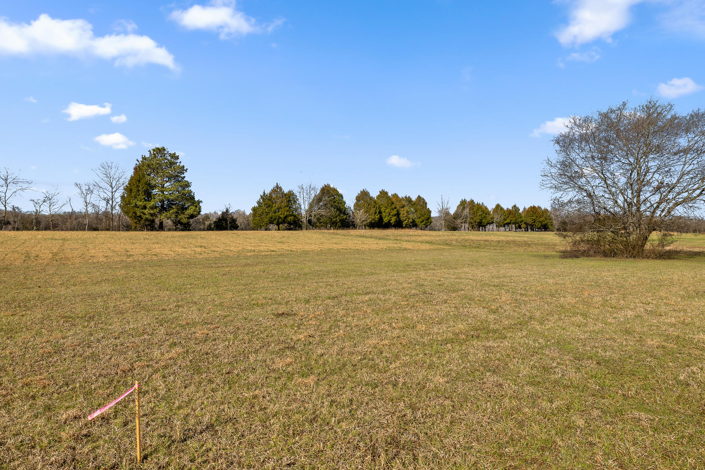 Lot 62 Espalier Drive