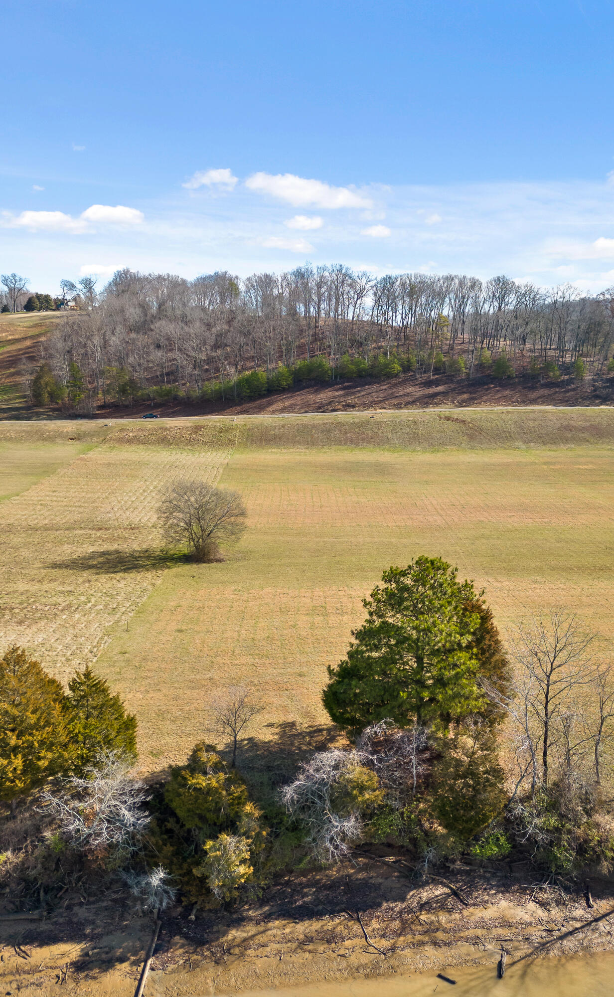 Lot 62 Espalier Drive