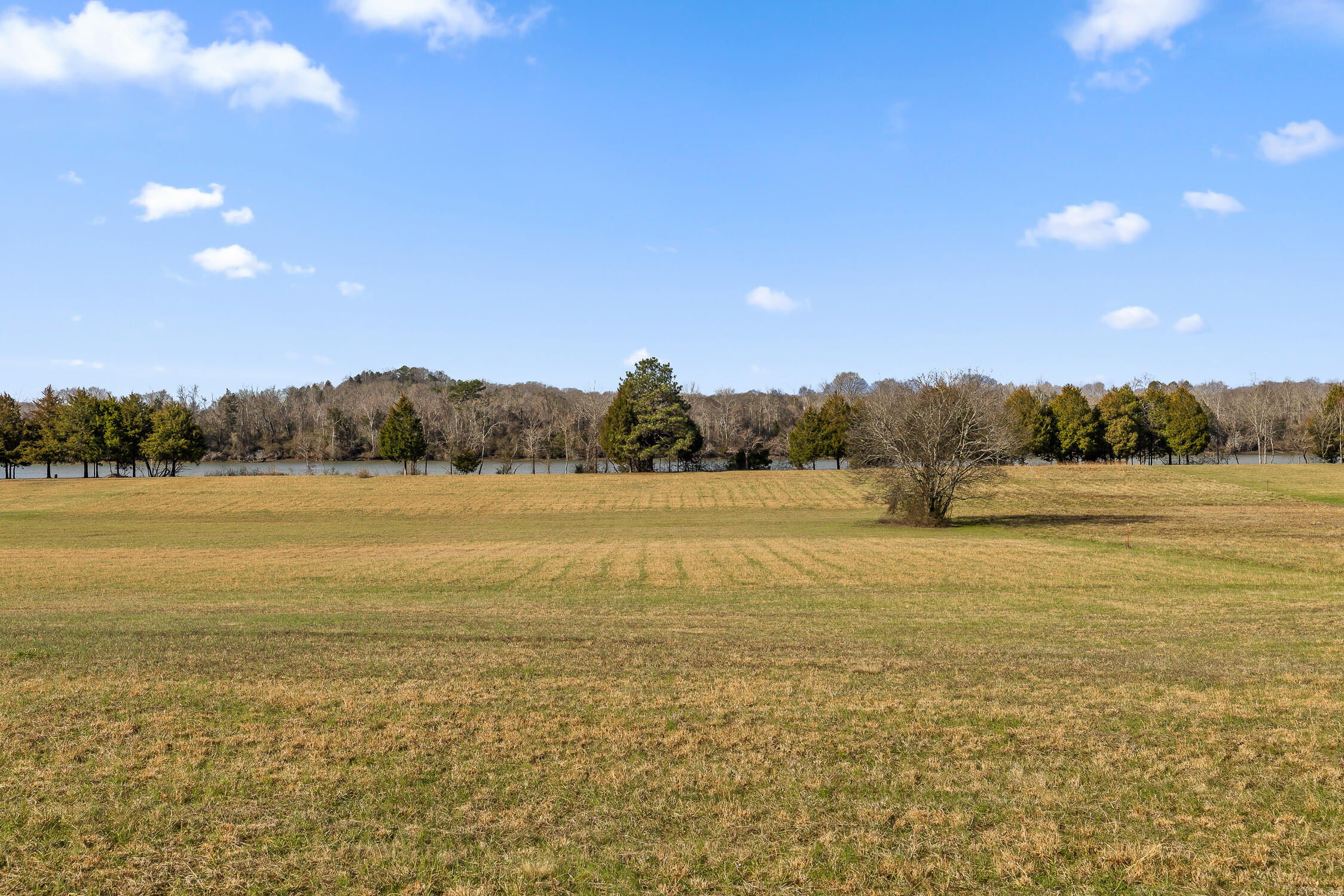 Lot 62 Espalier Drive