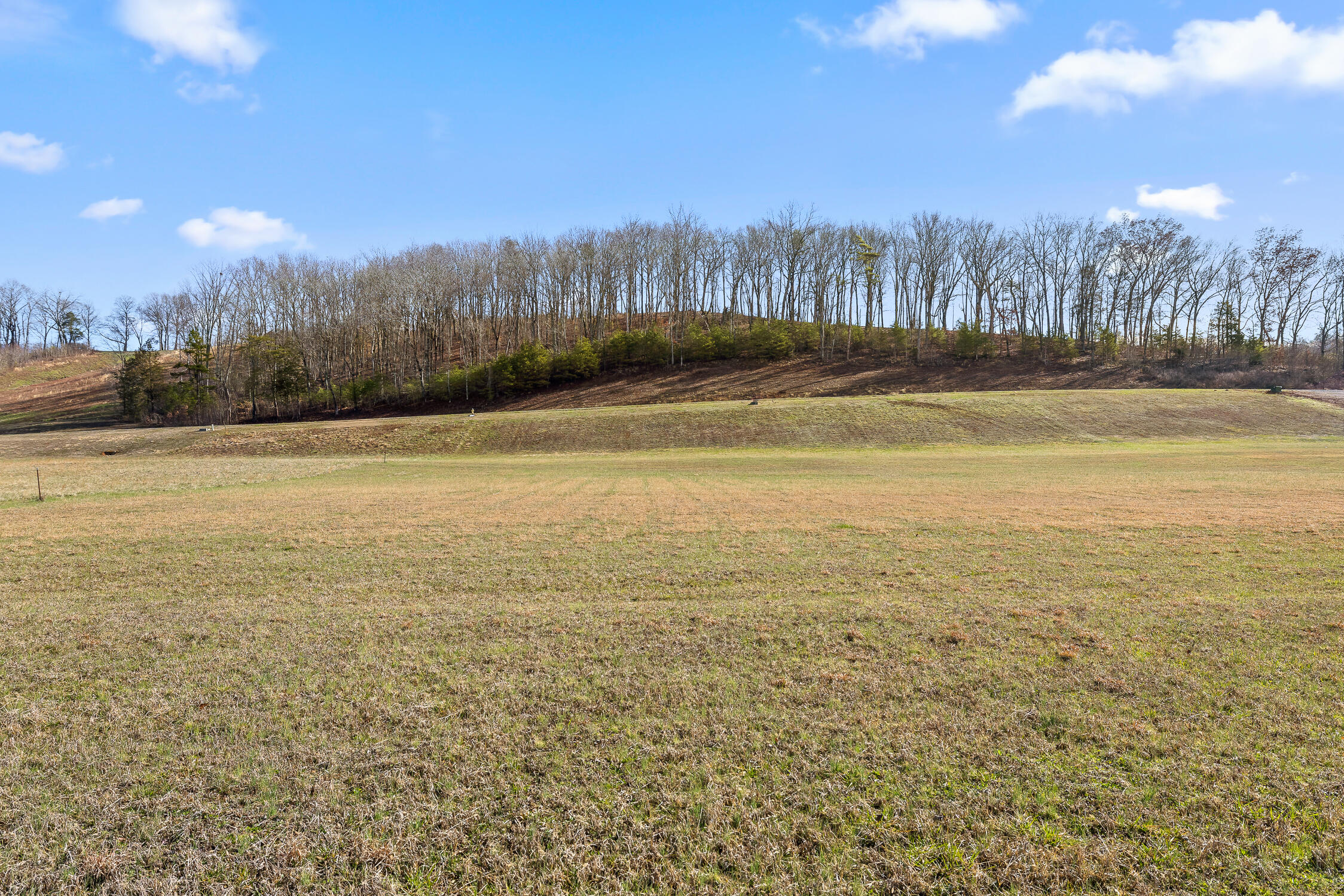 Lot 62 Espalier Drive