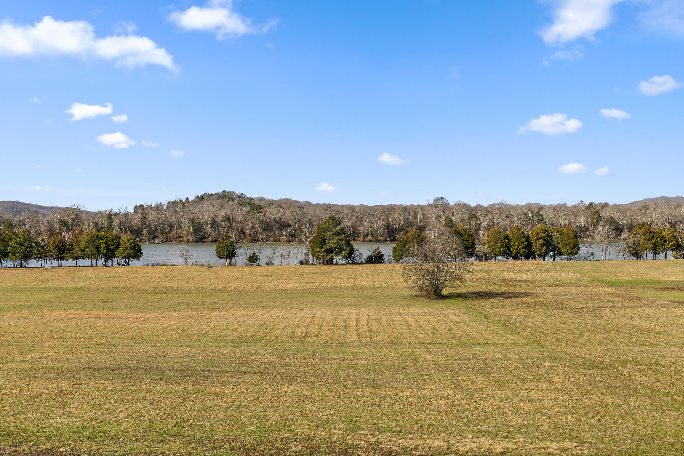 Lot 62 Espalier Drive