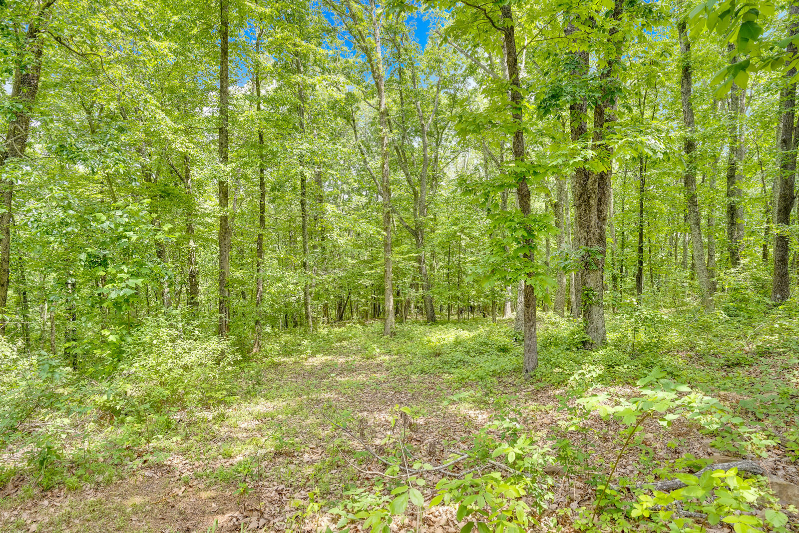 0 Sussex Lot 2 Road, 2