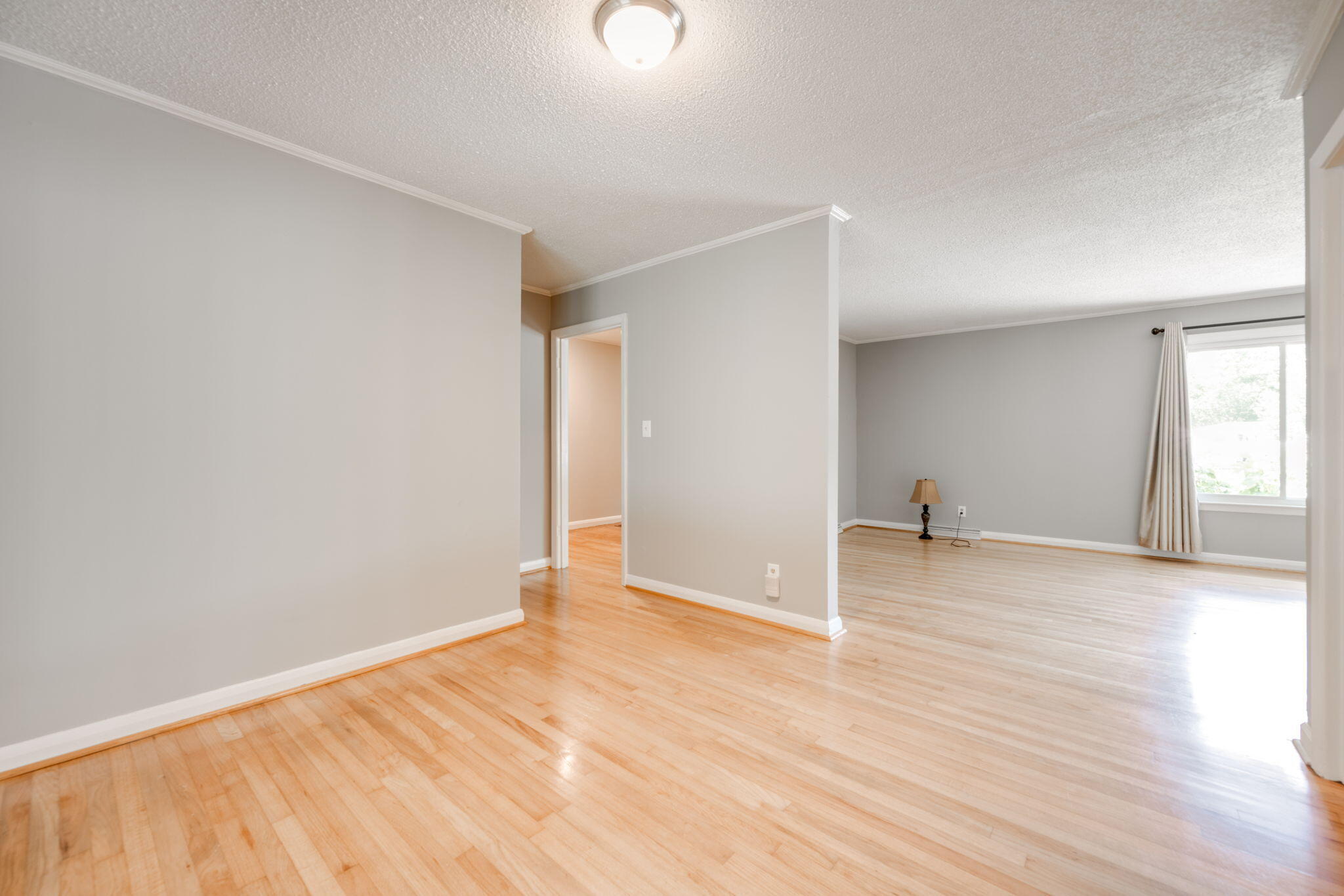 3805 Lake Vista Drive