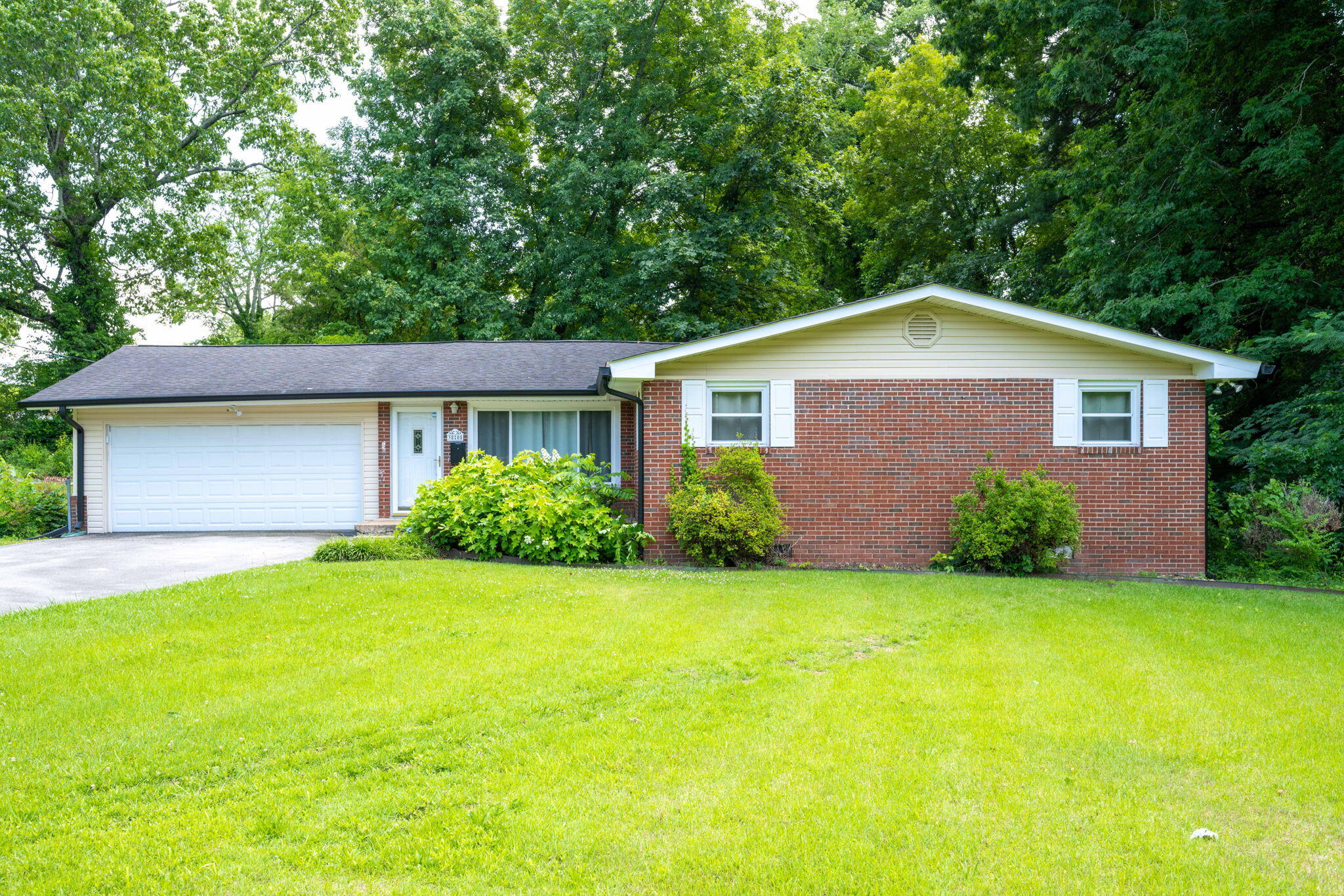 3805 Lake Vista Drive