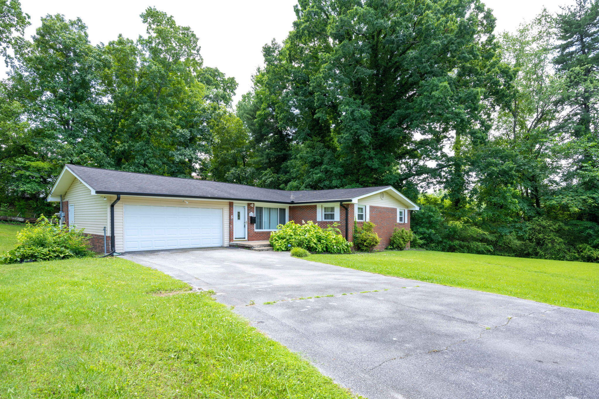 3805 Lake Vista Drive
