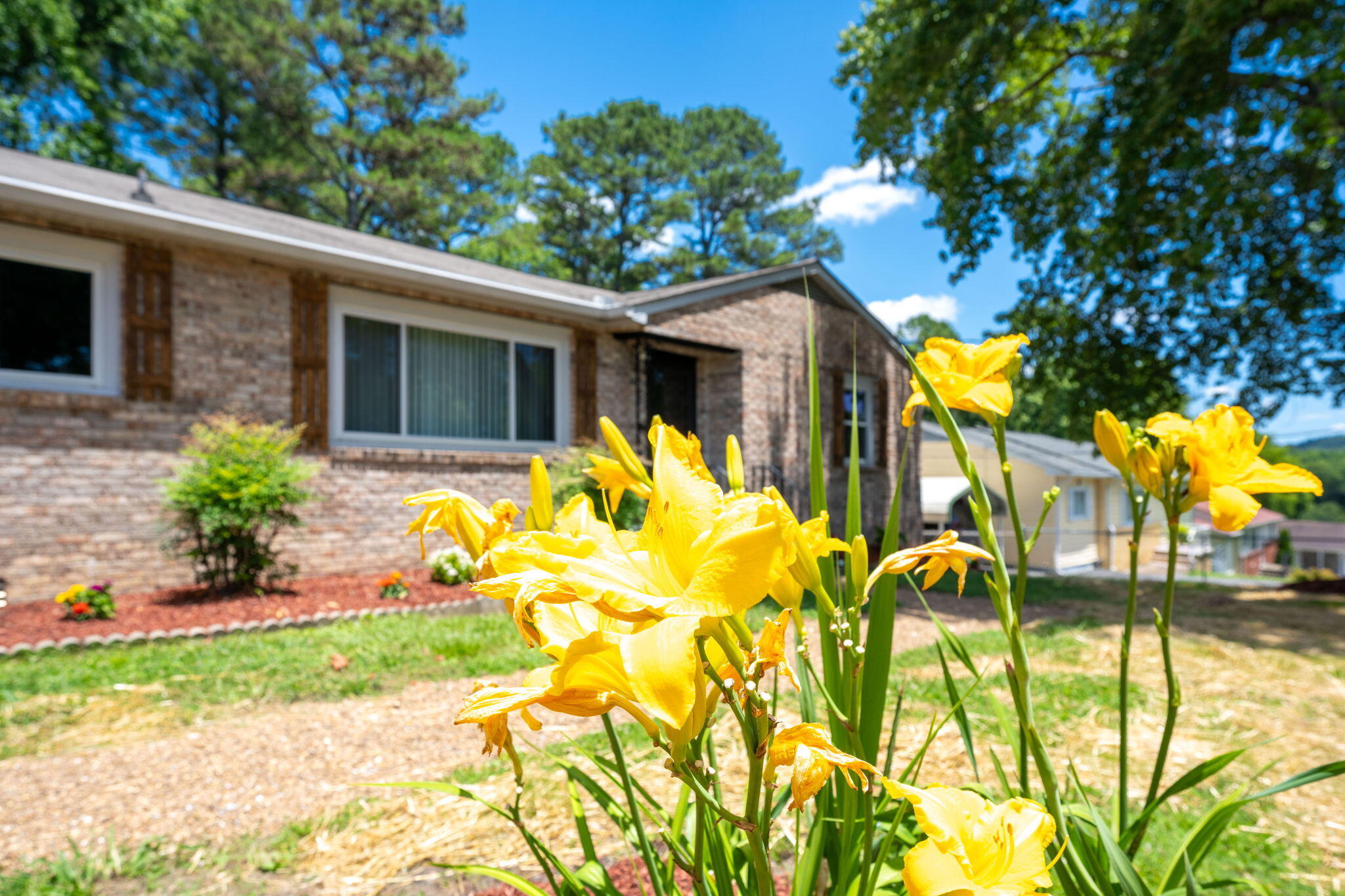 726 Cherokee Trail