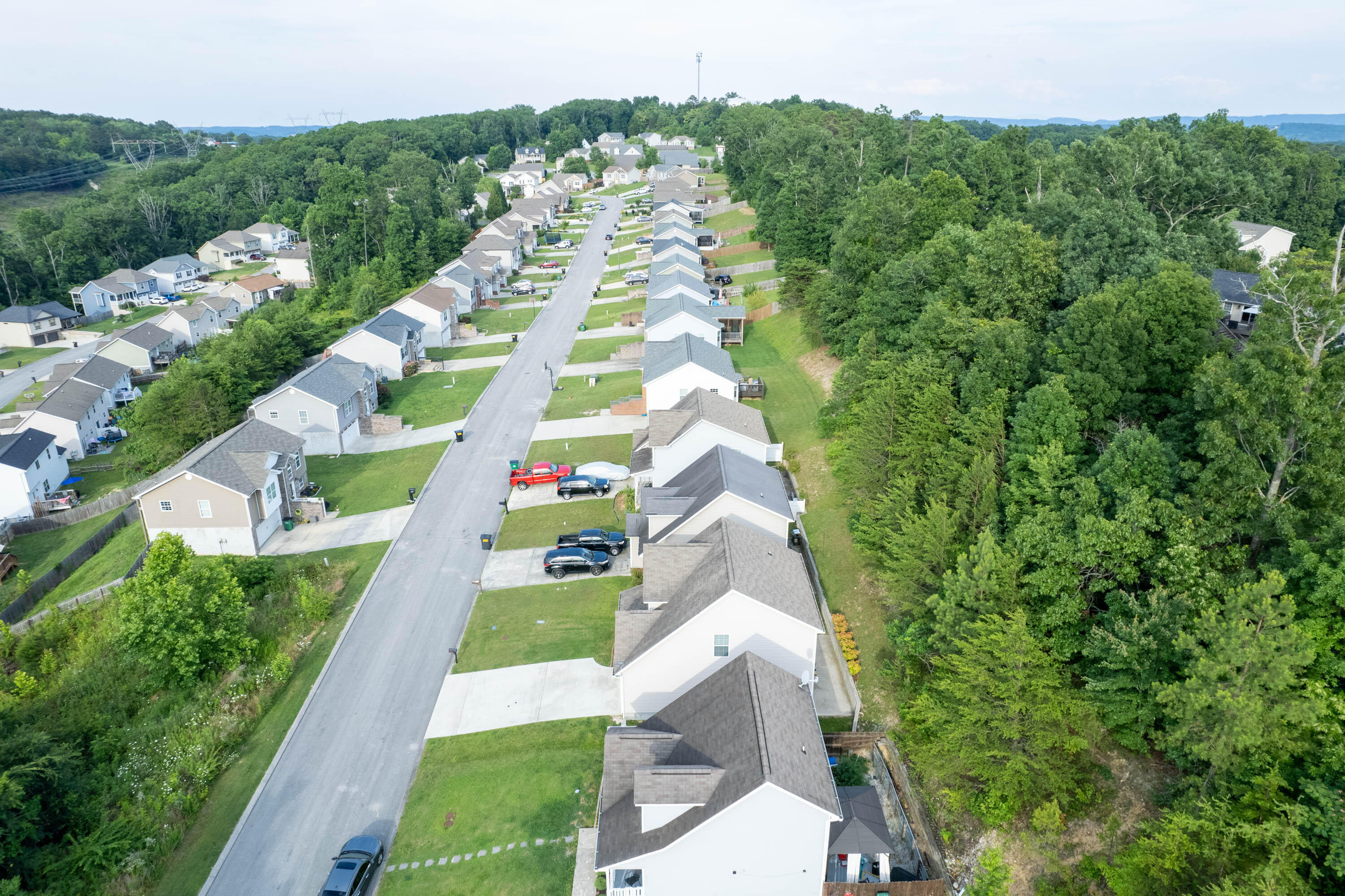 2117 Short Leaf Lane