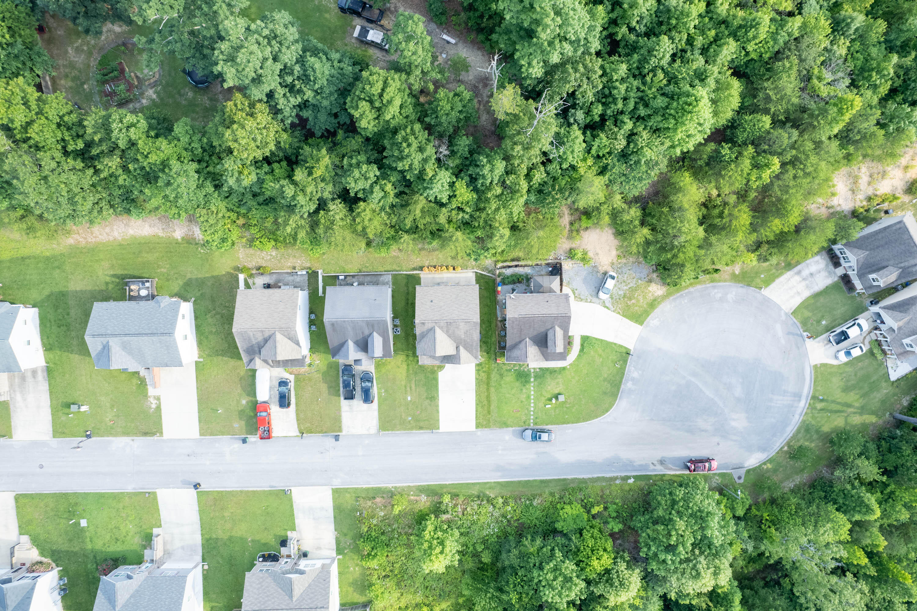 2117 Short Leaf Lane