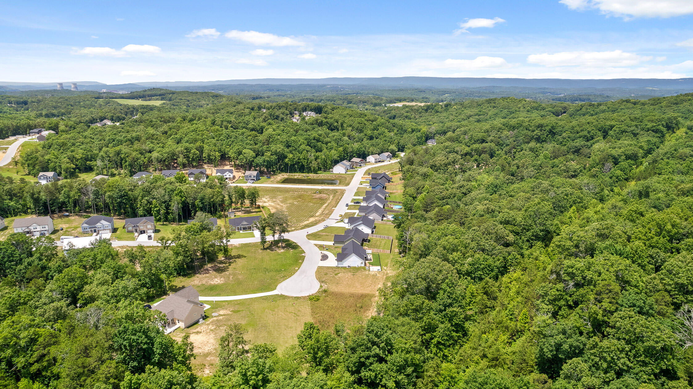 12317 Short Horn Court