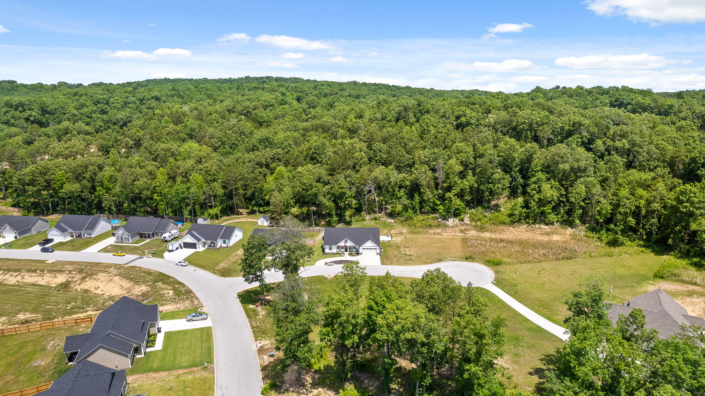12317 Short Horn Court