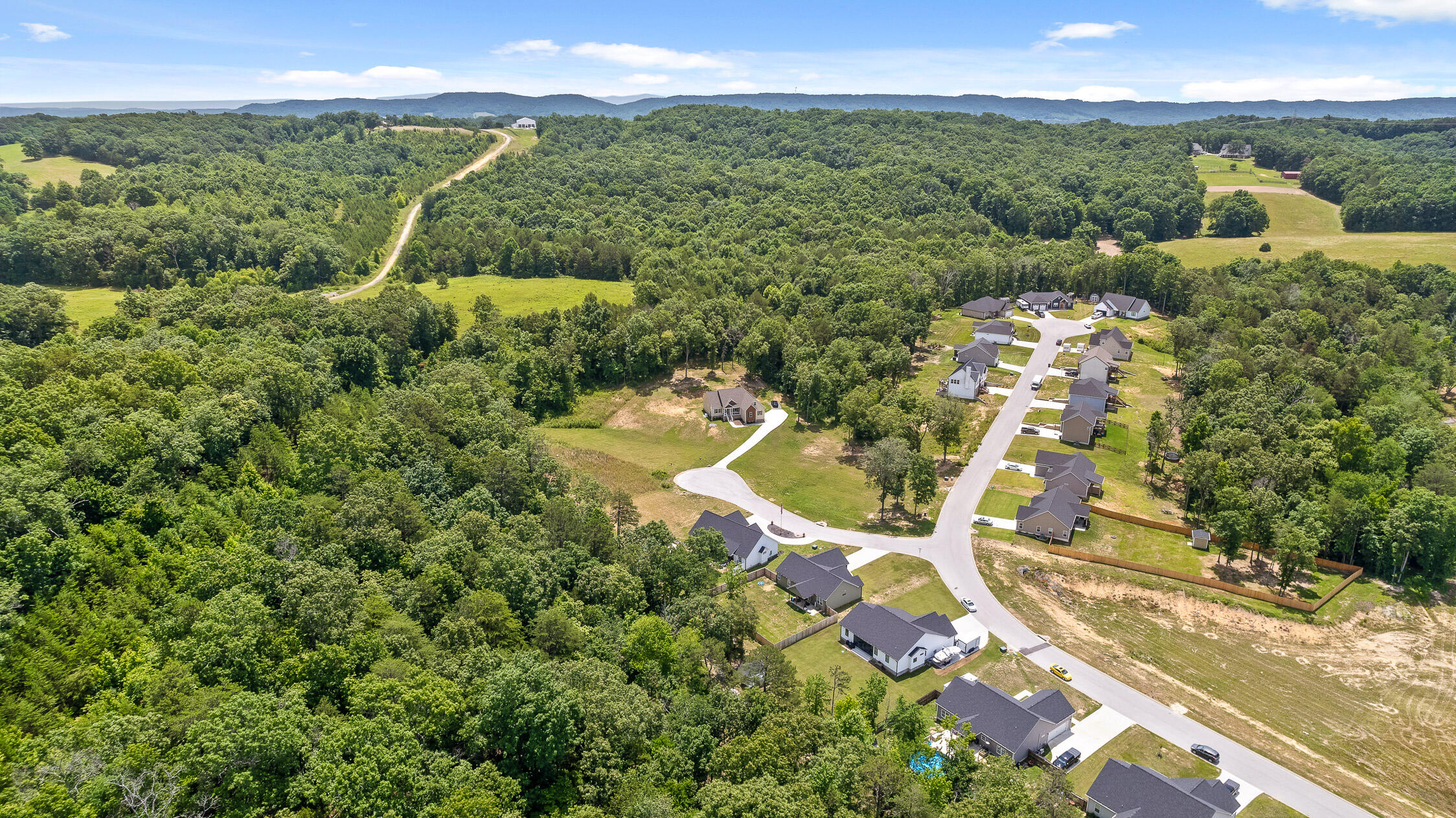 12317 Short Horn Court