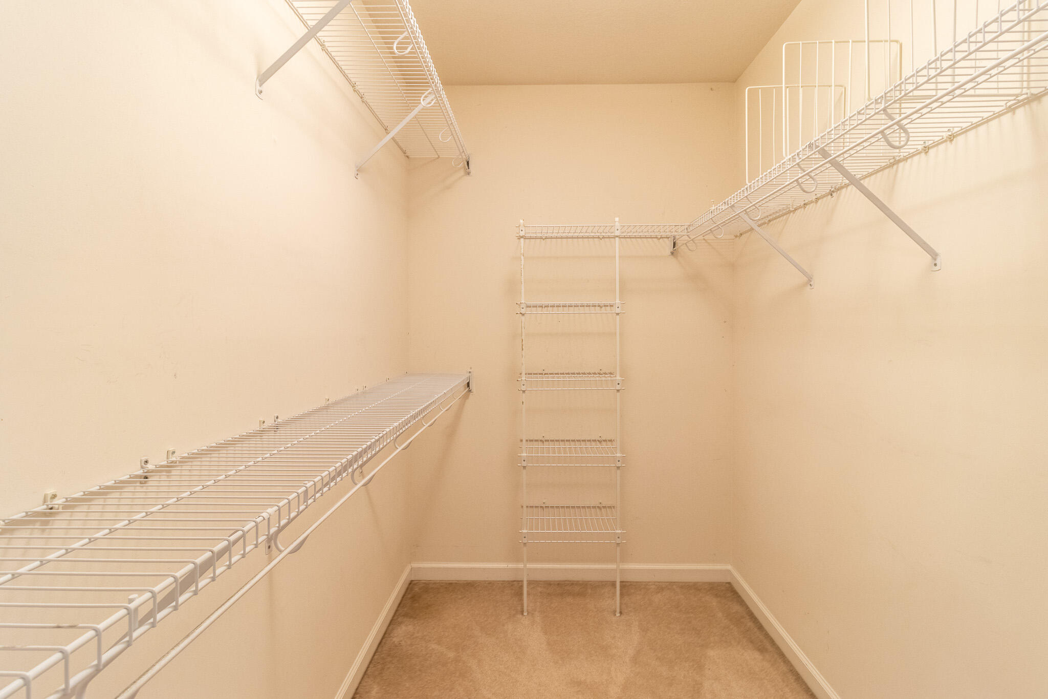5883 Riley Road